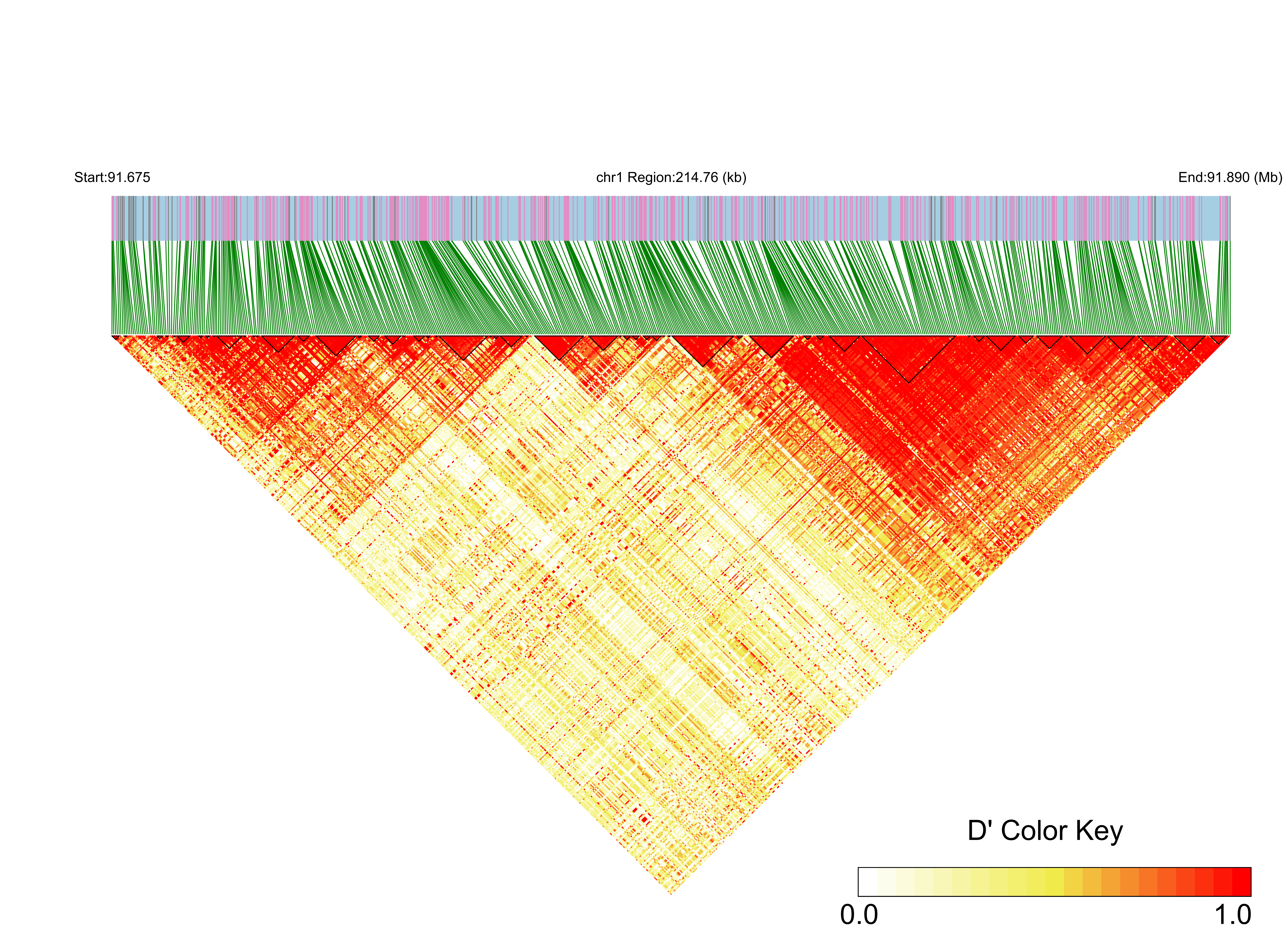 LD