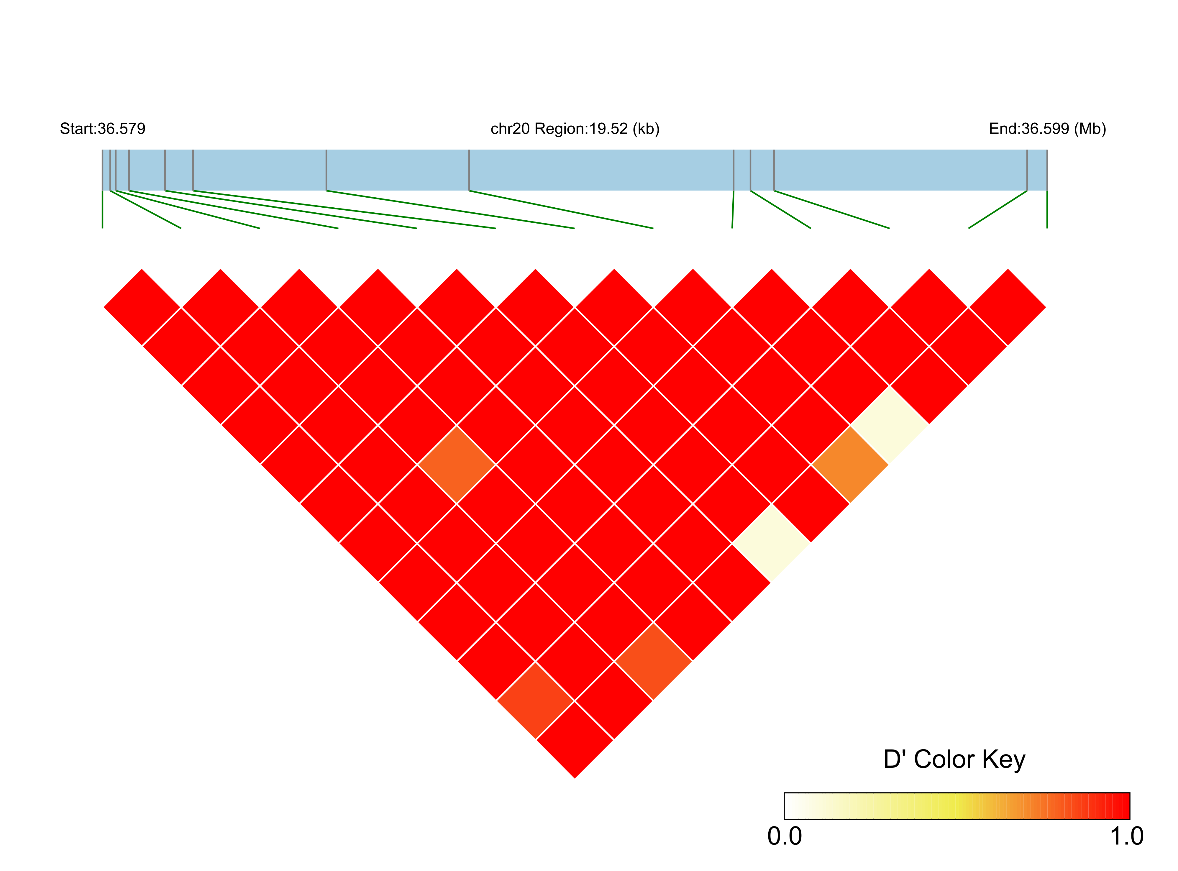 LD