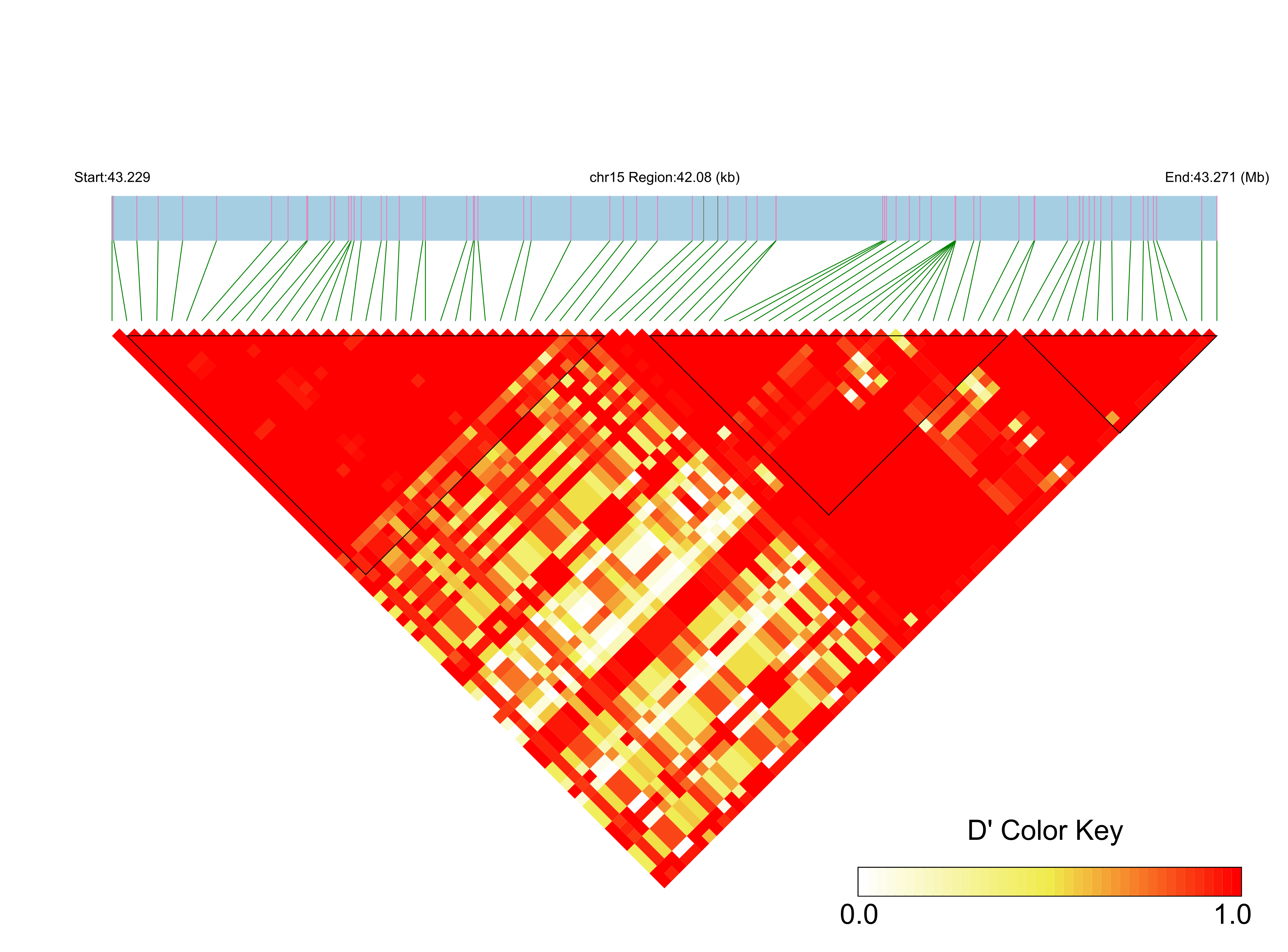 LD