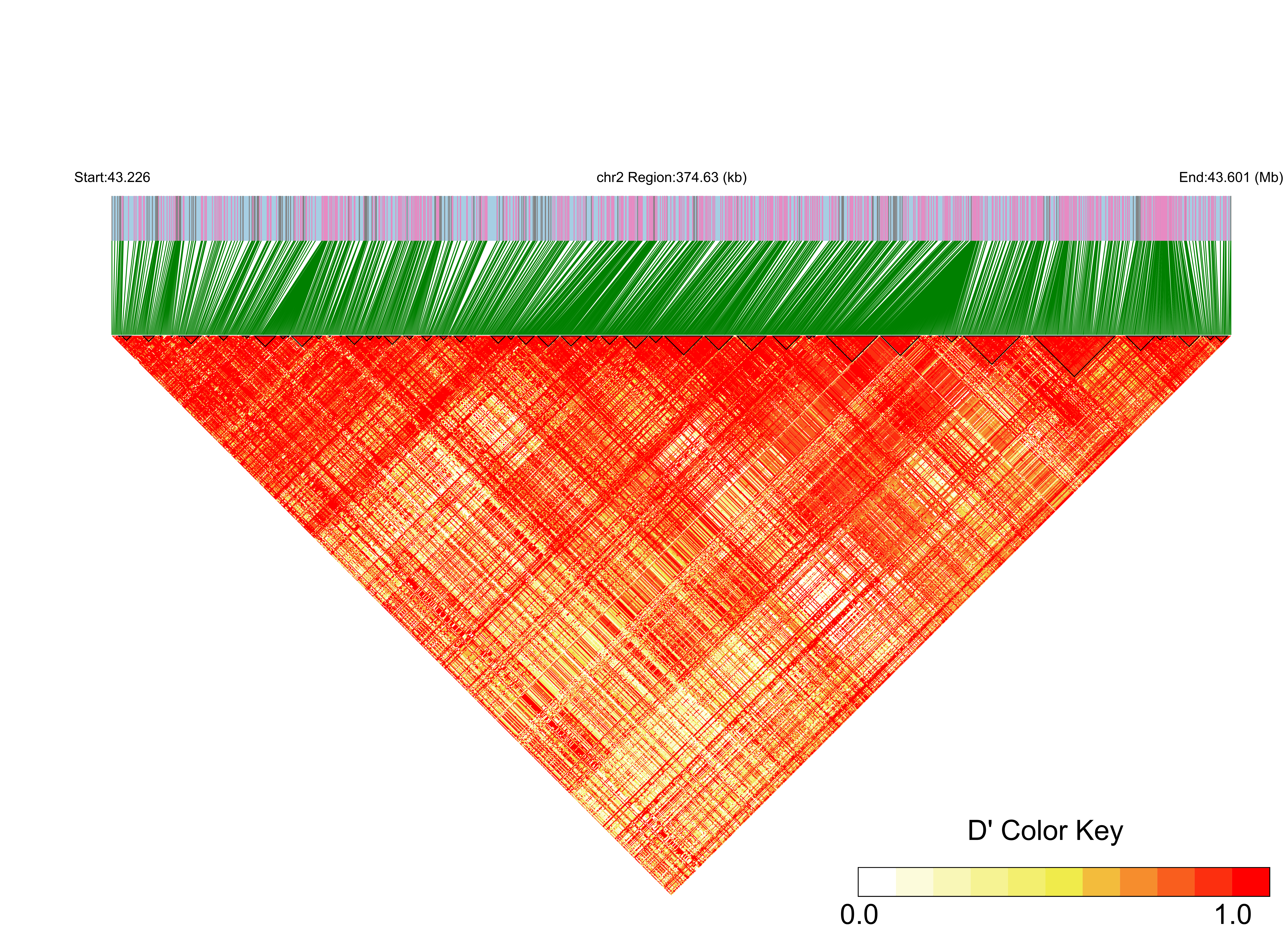 LD