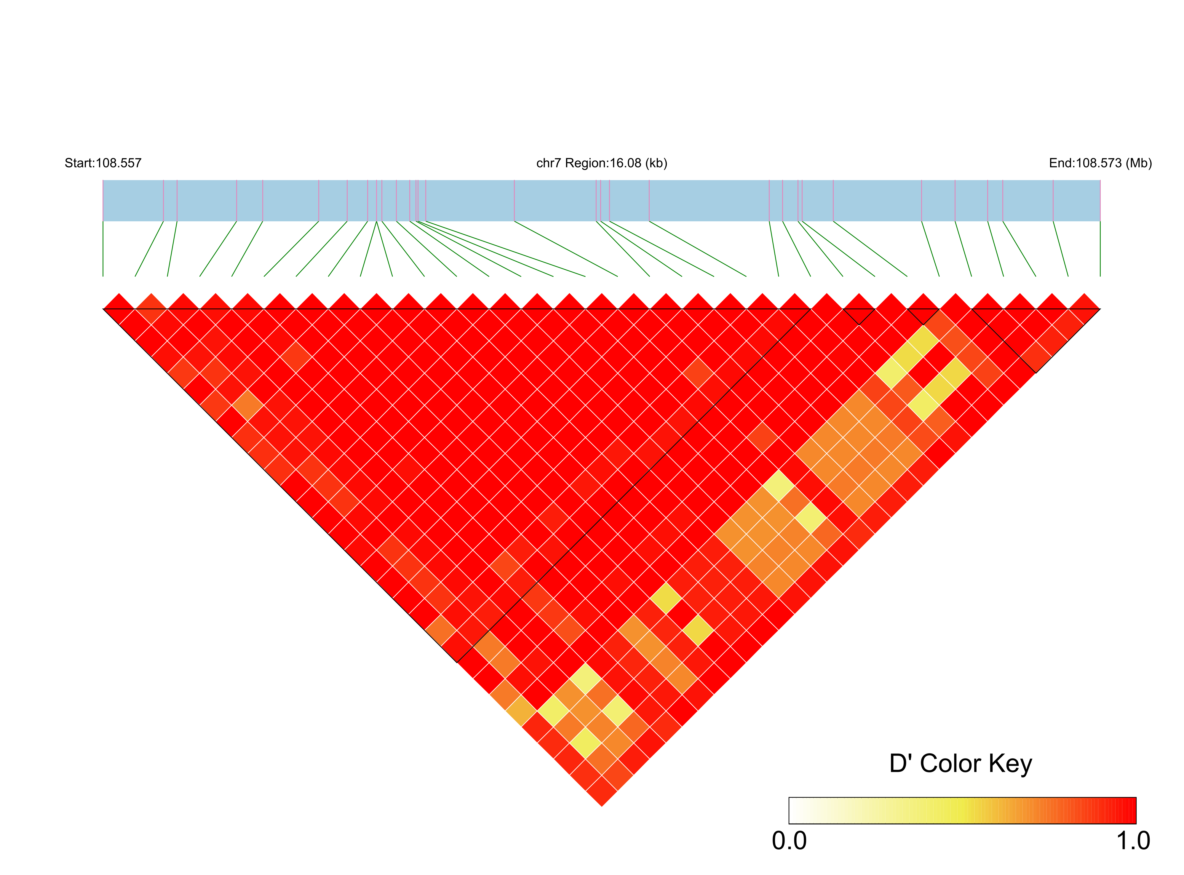 LD