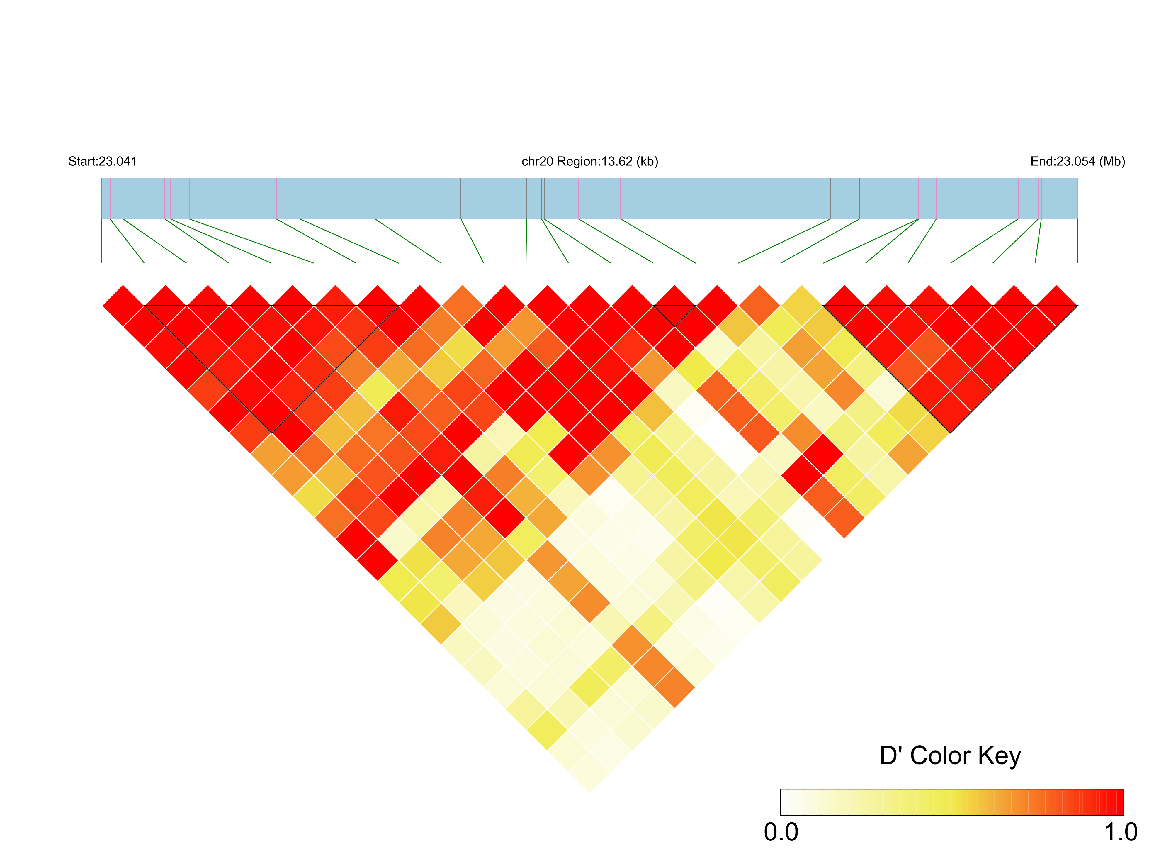 LD