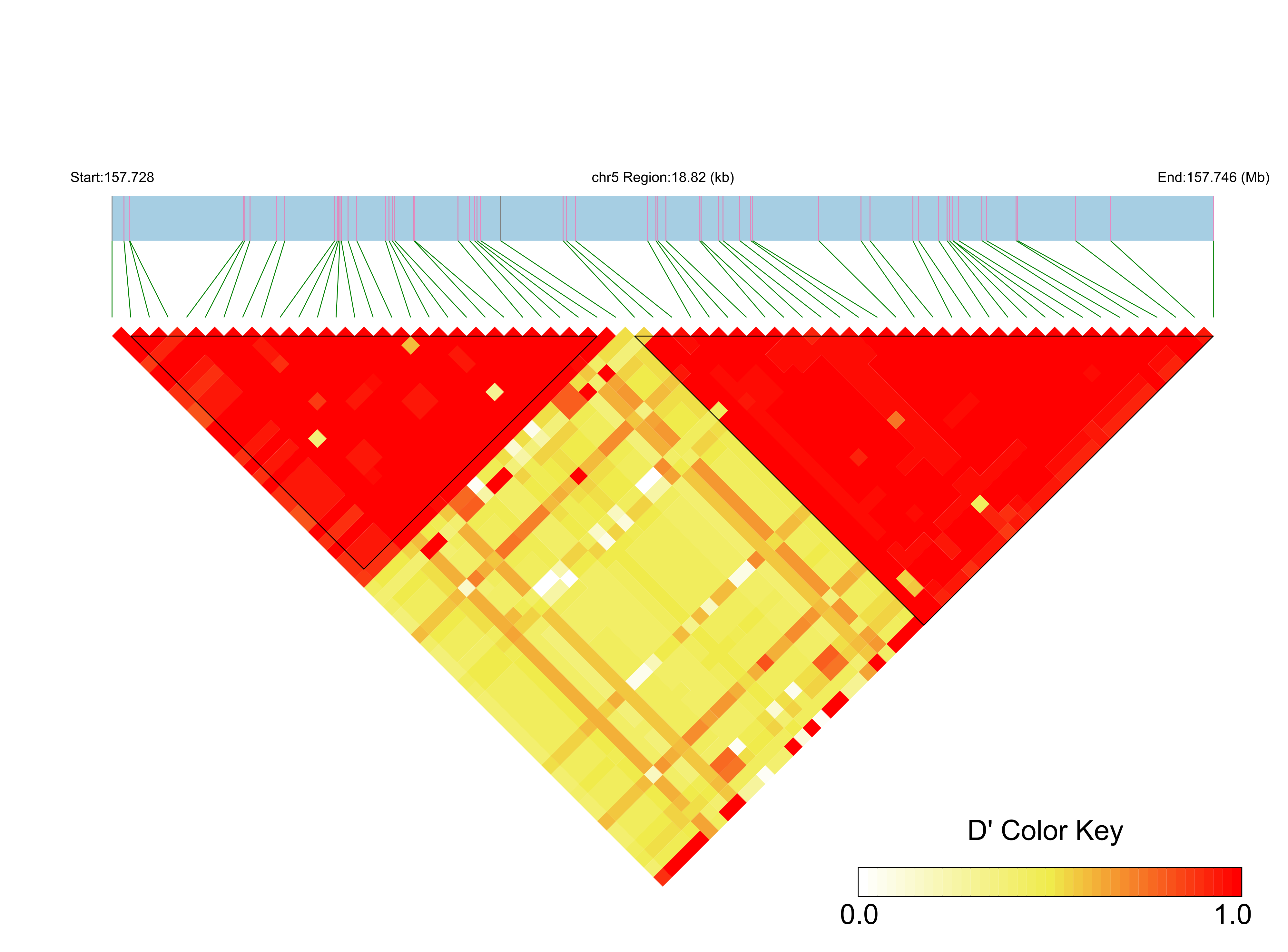 LD