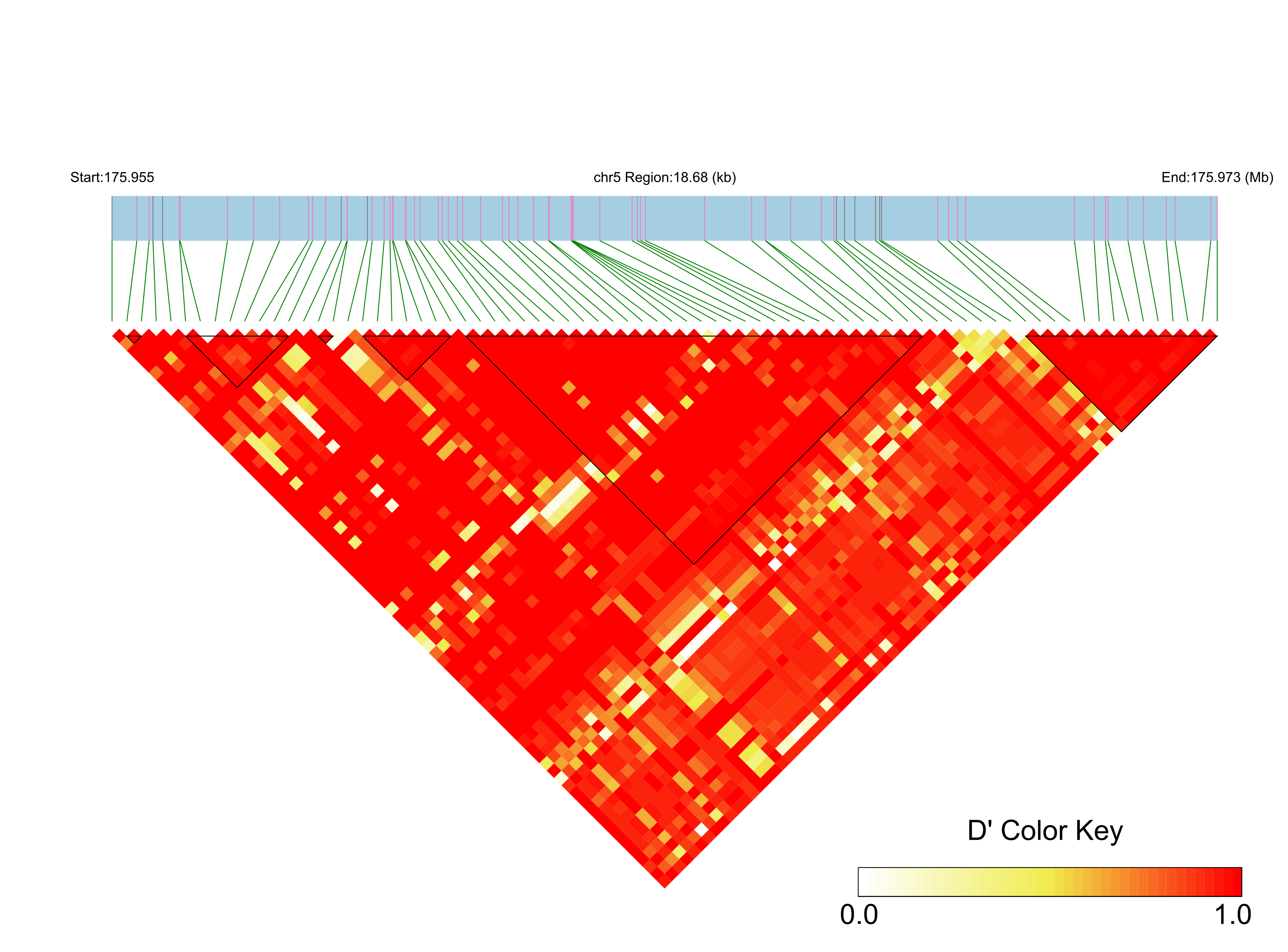 LD