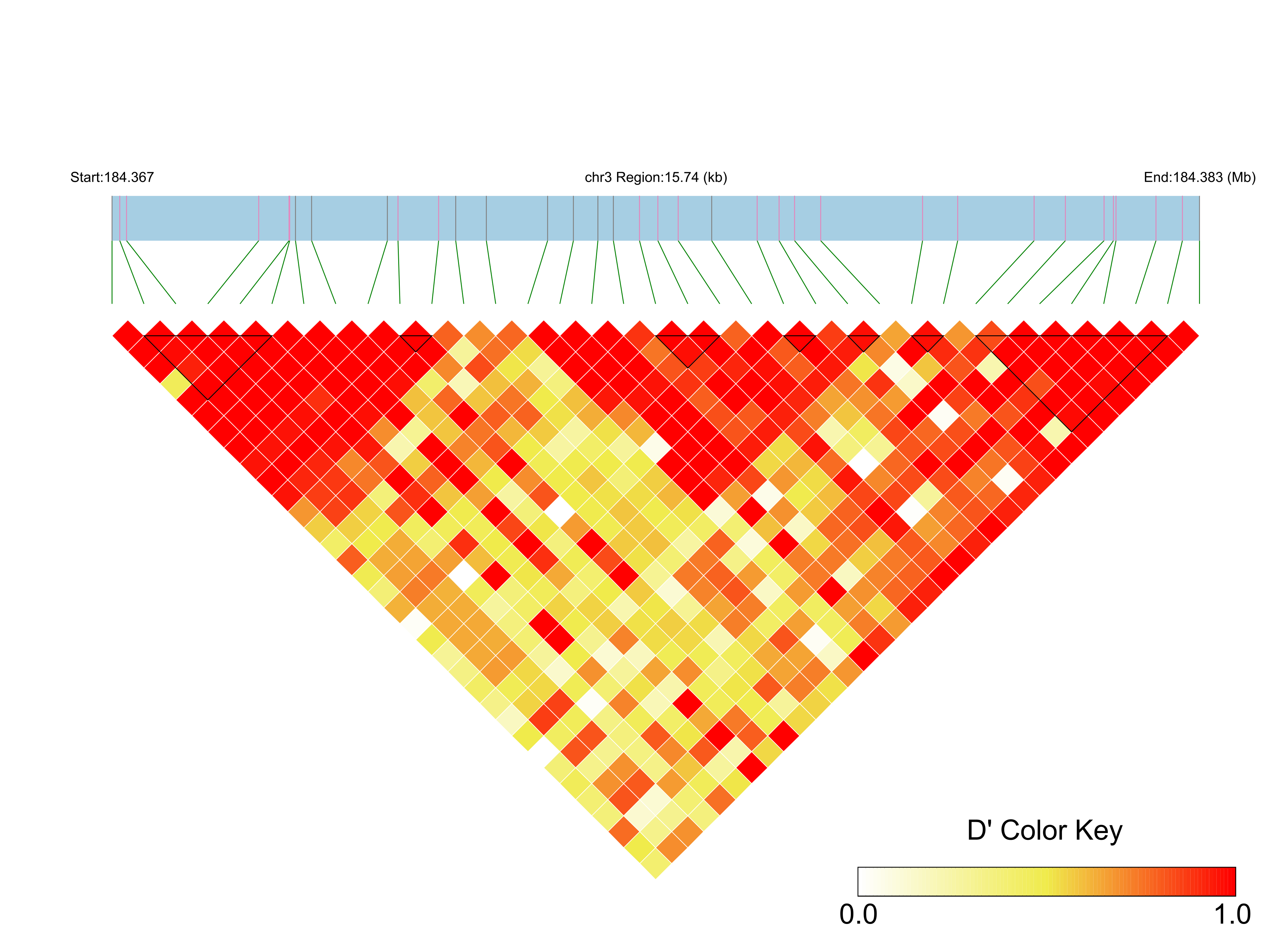 LD