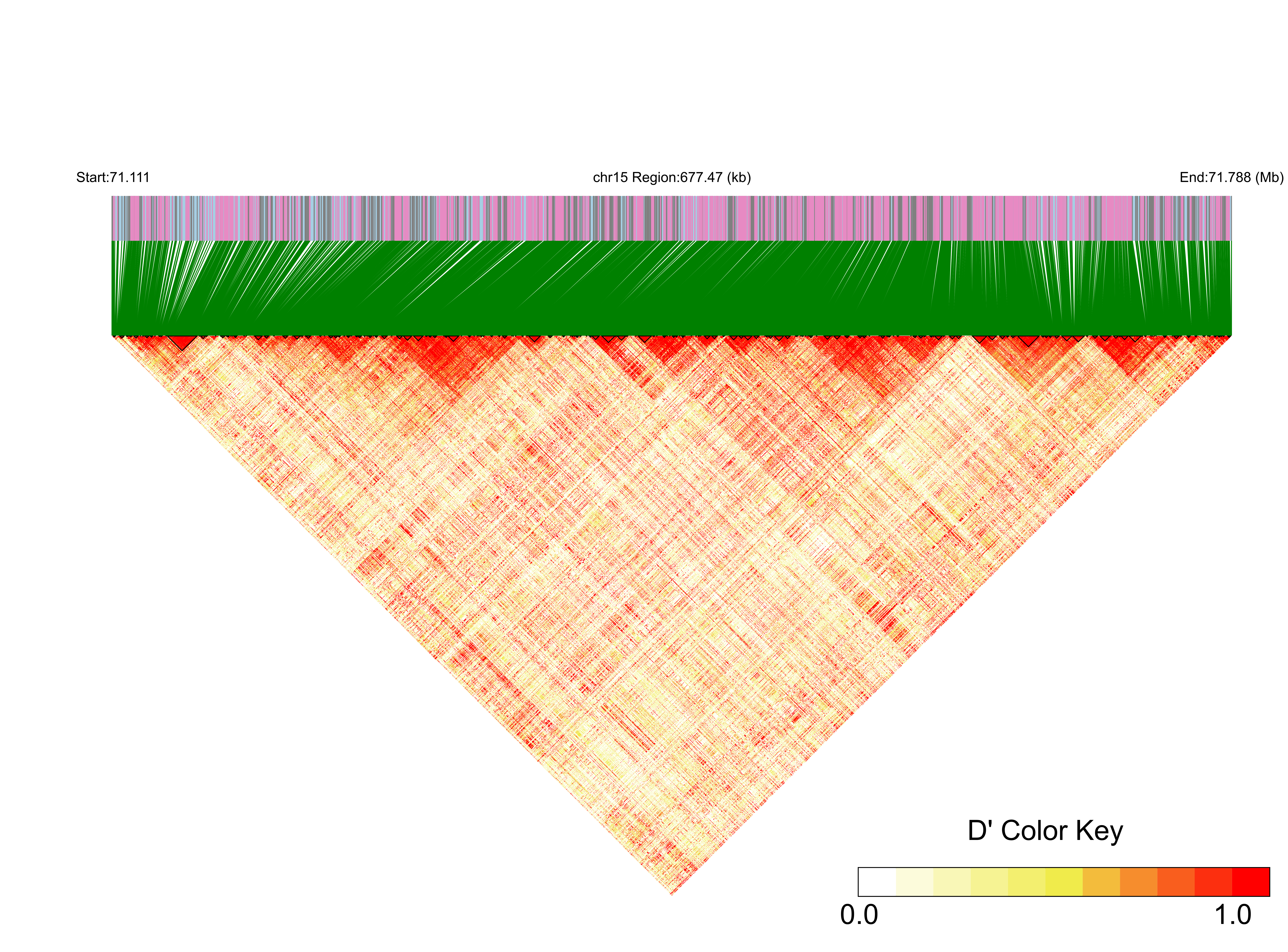 LD