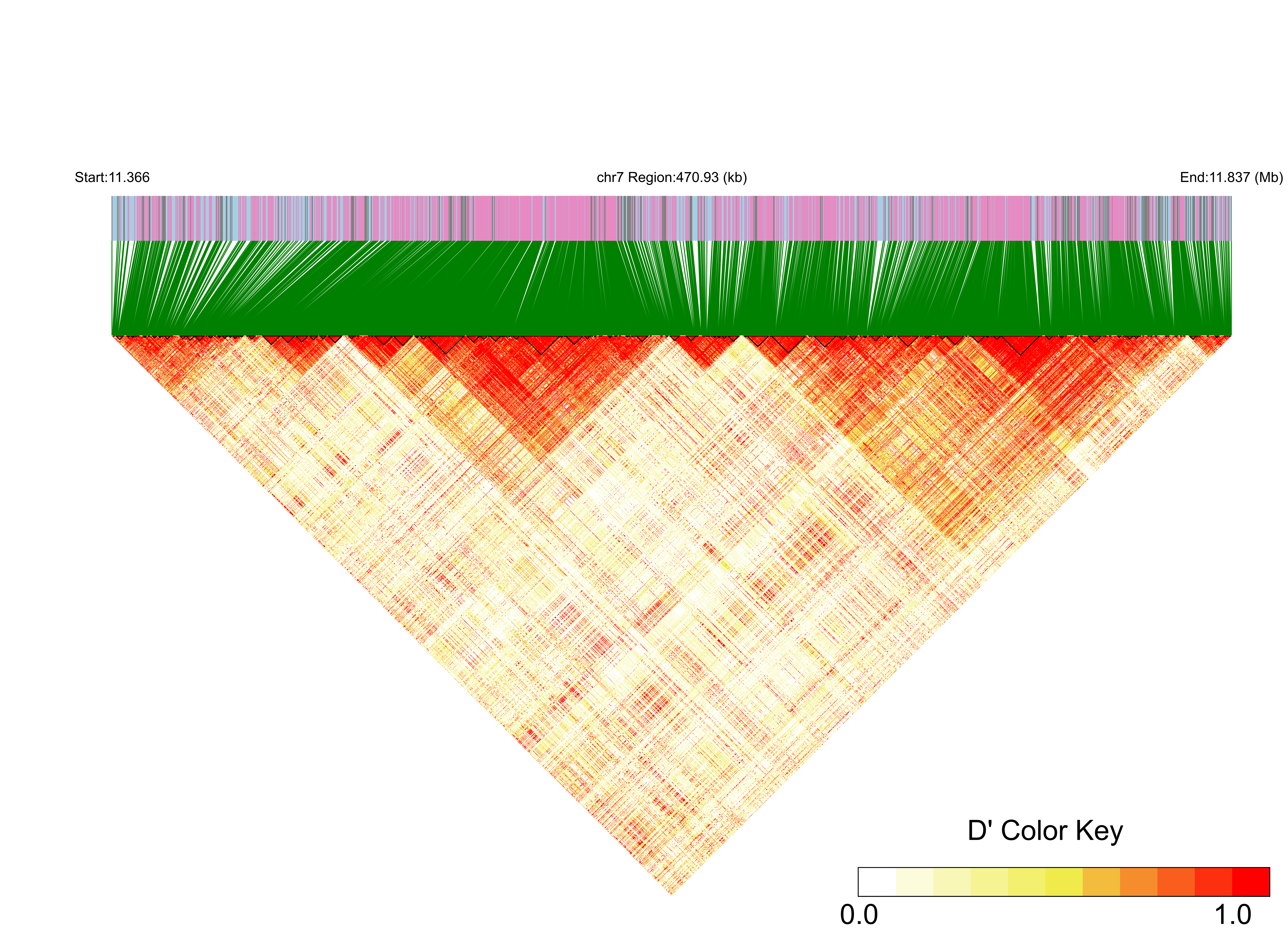 LD
