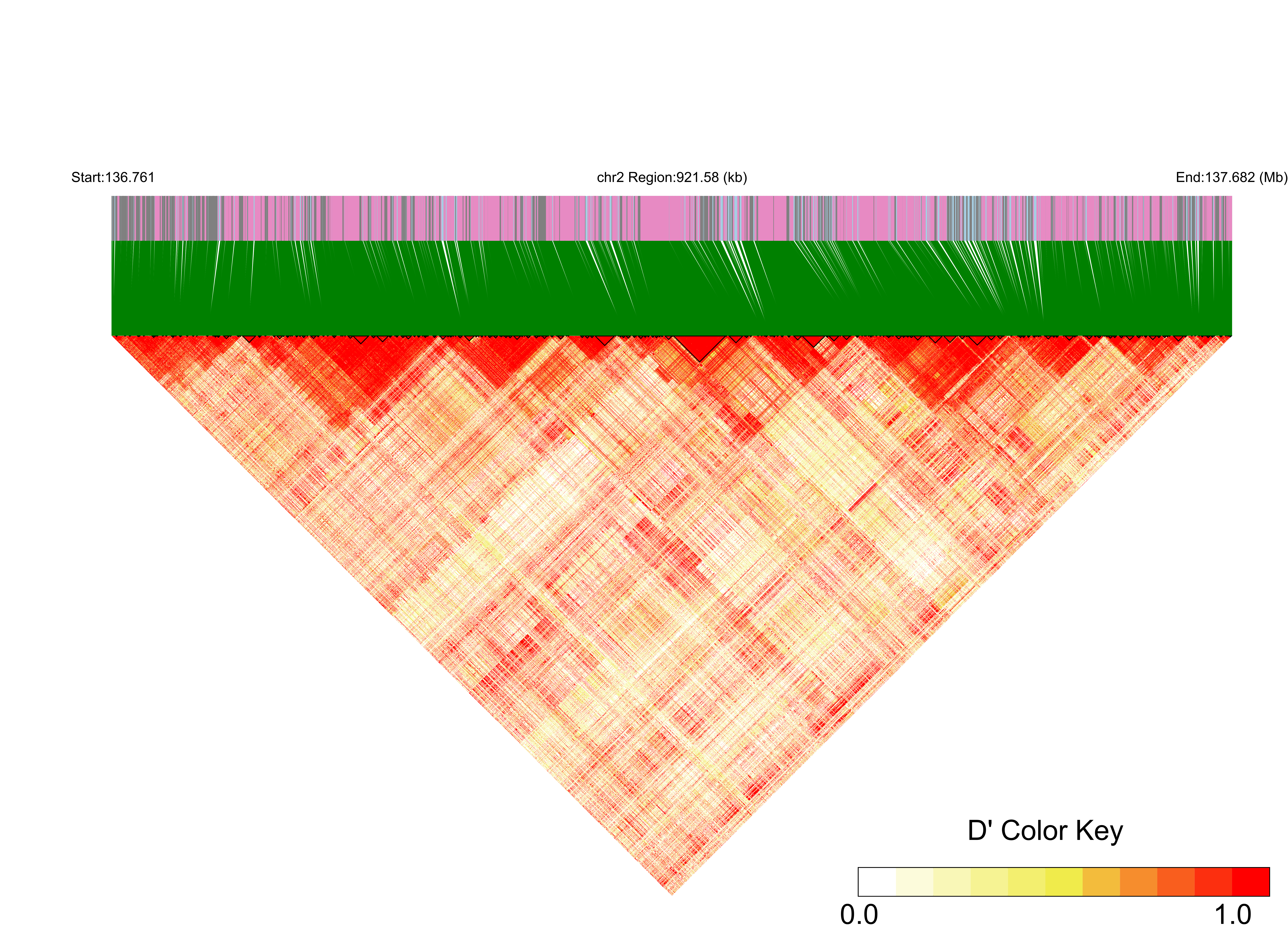 LD