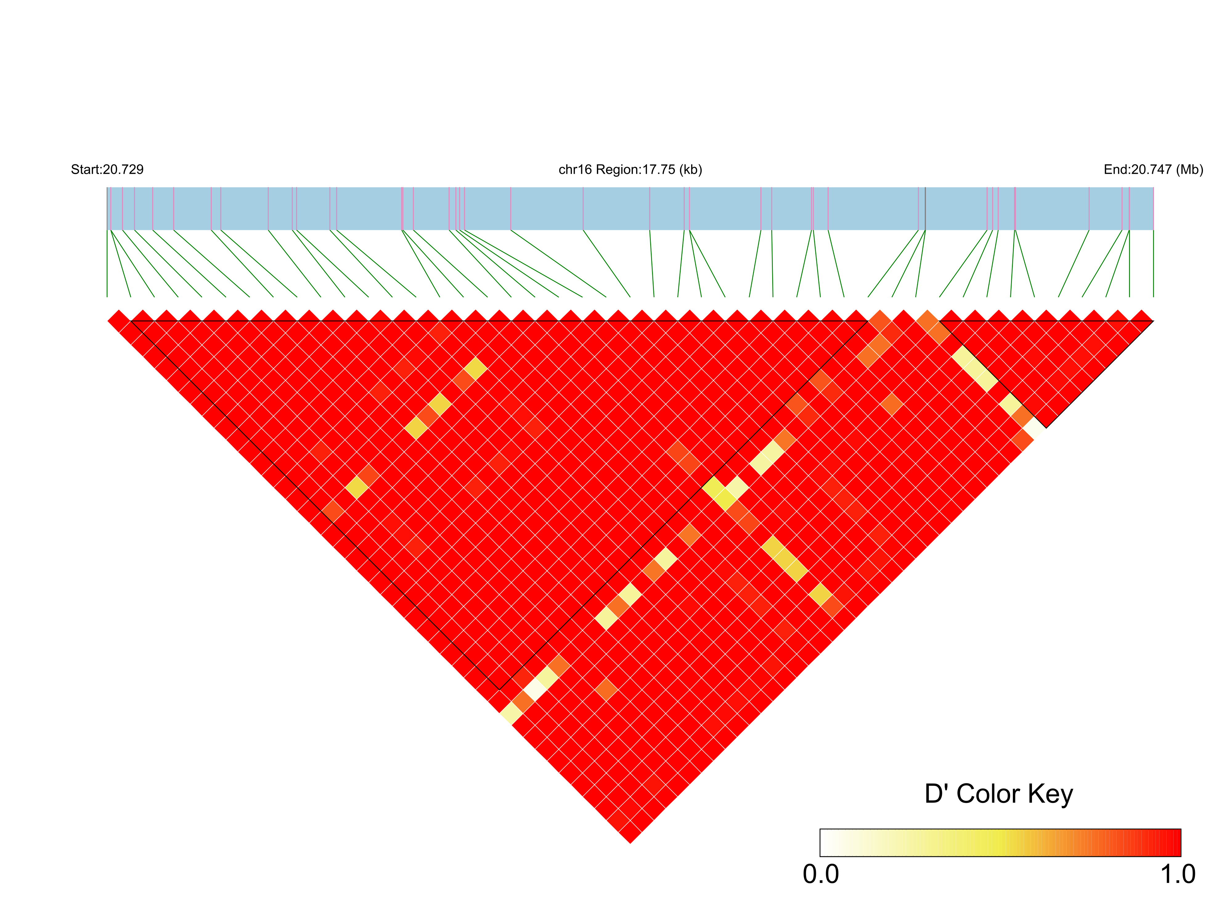 LD