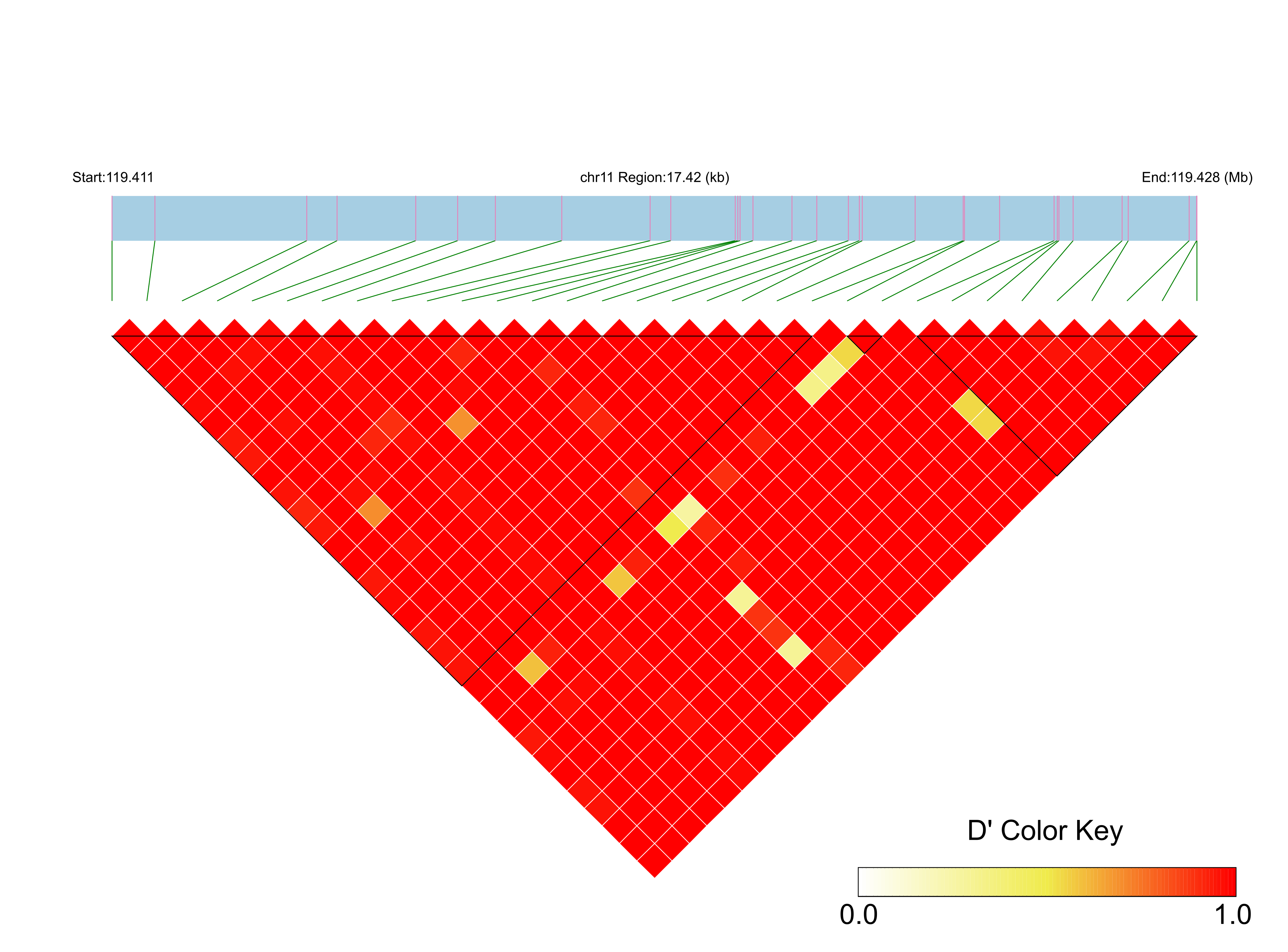 LD