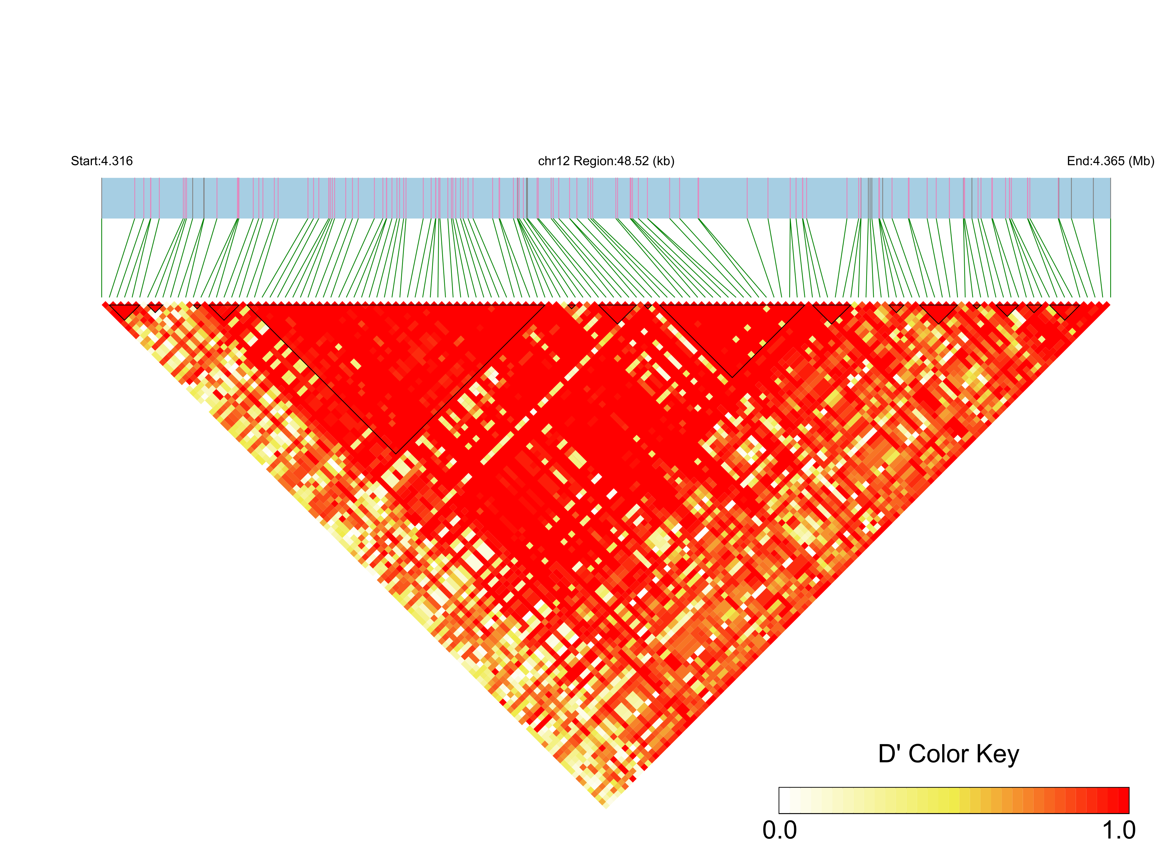 LD