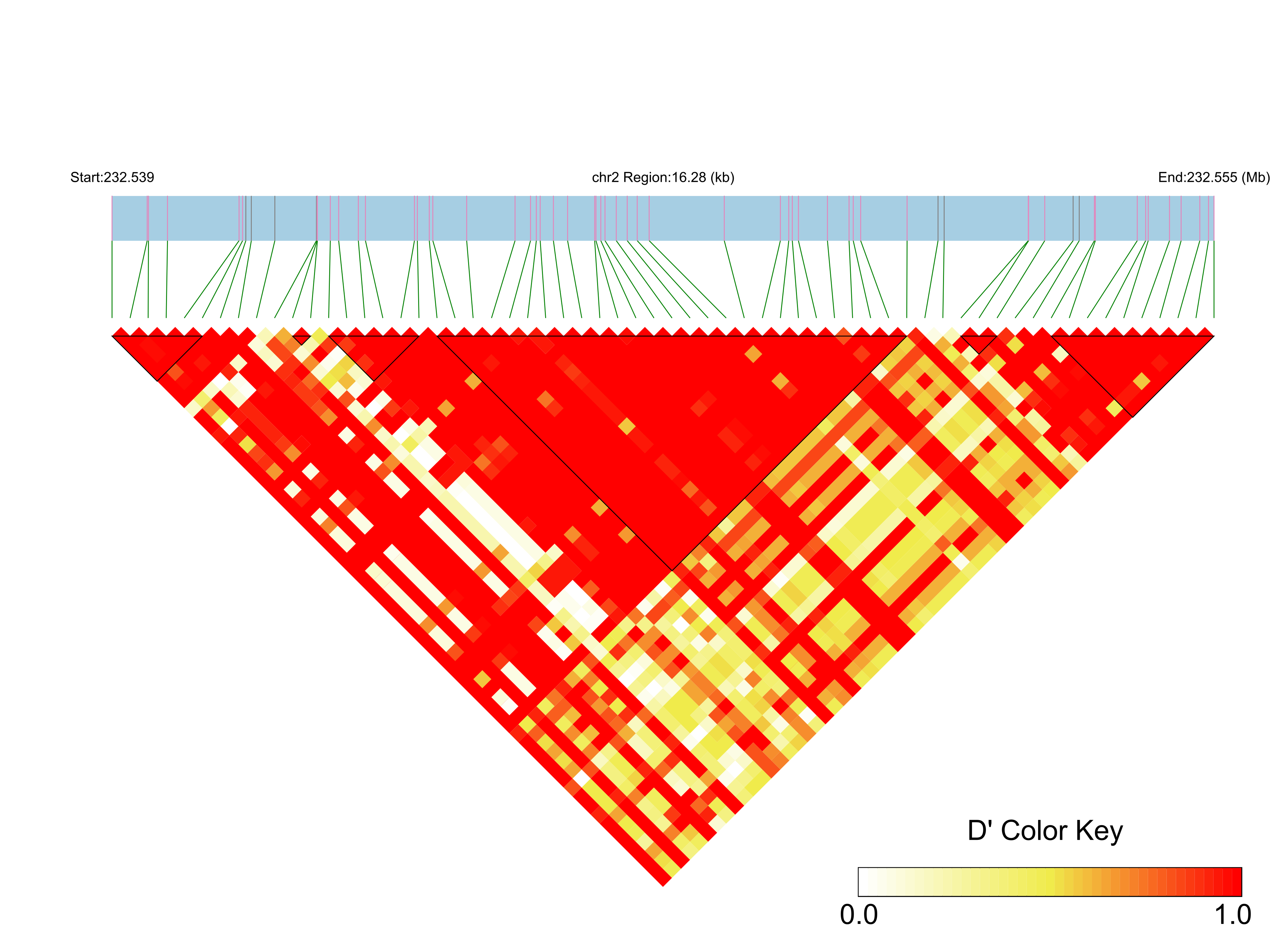 LD