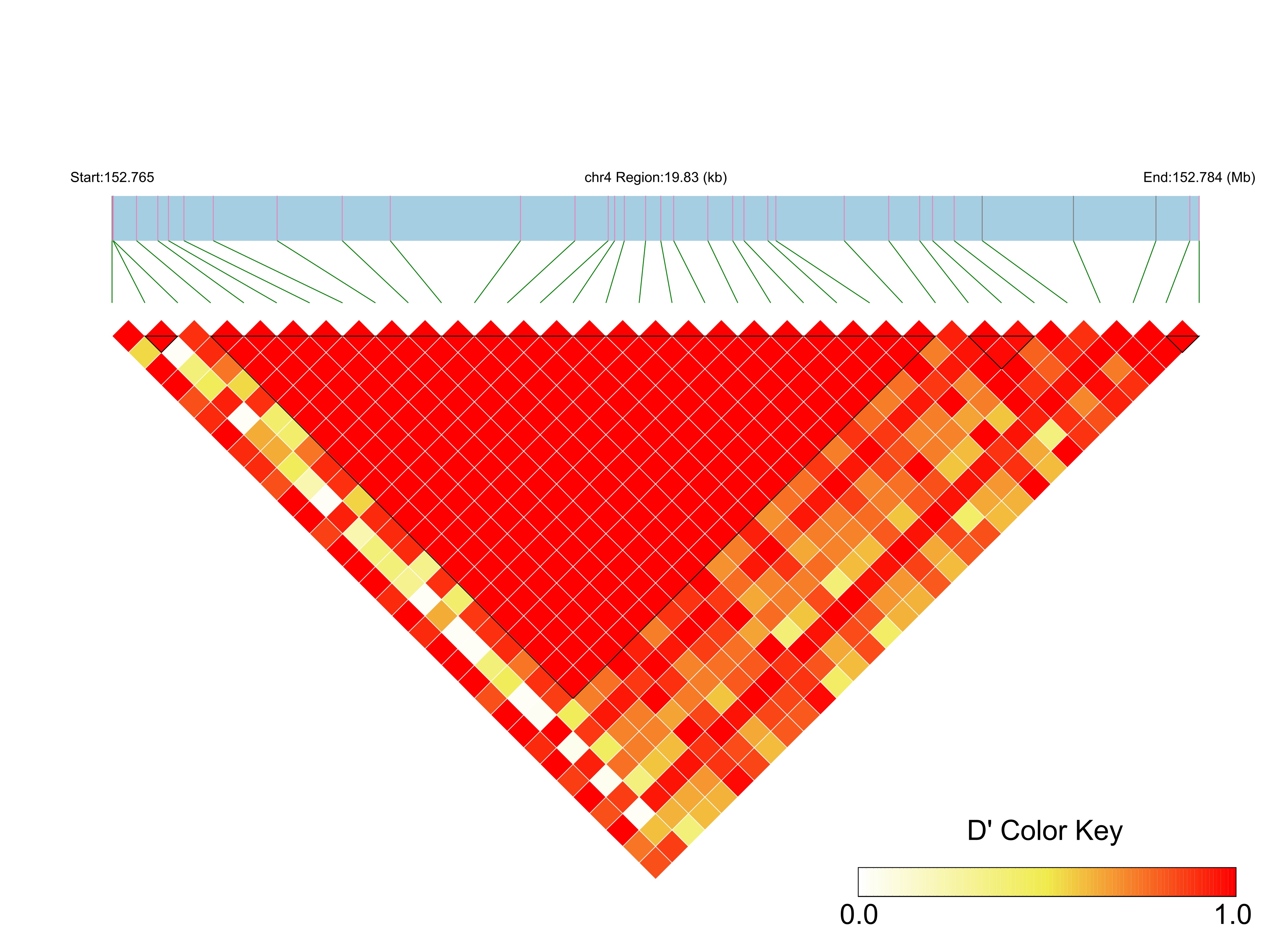 LD