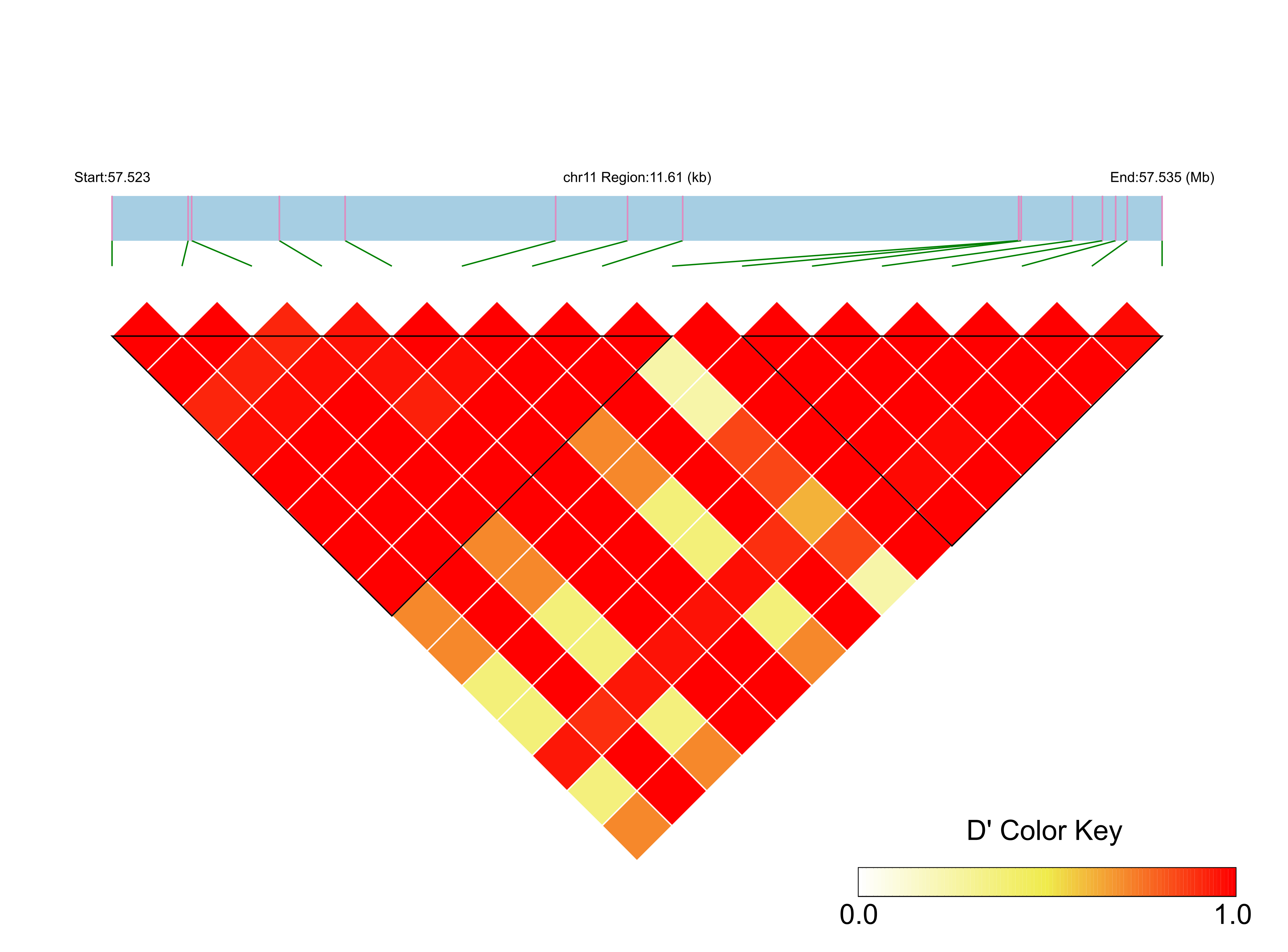 LD