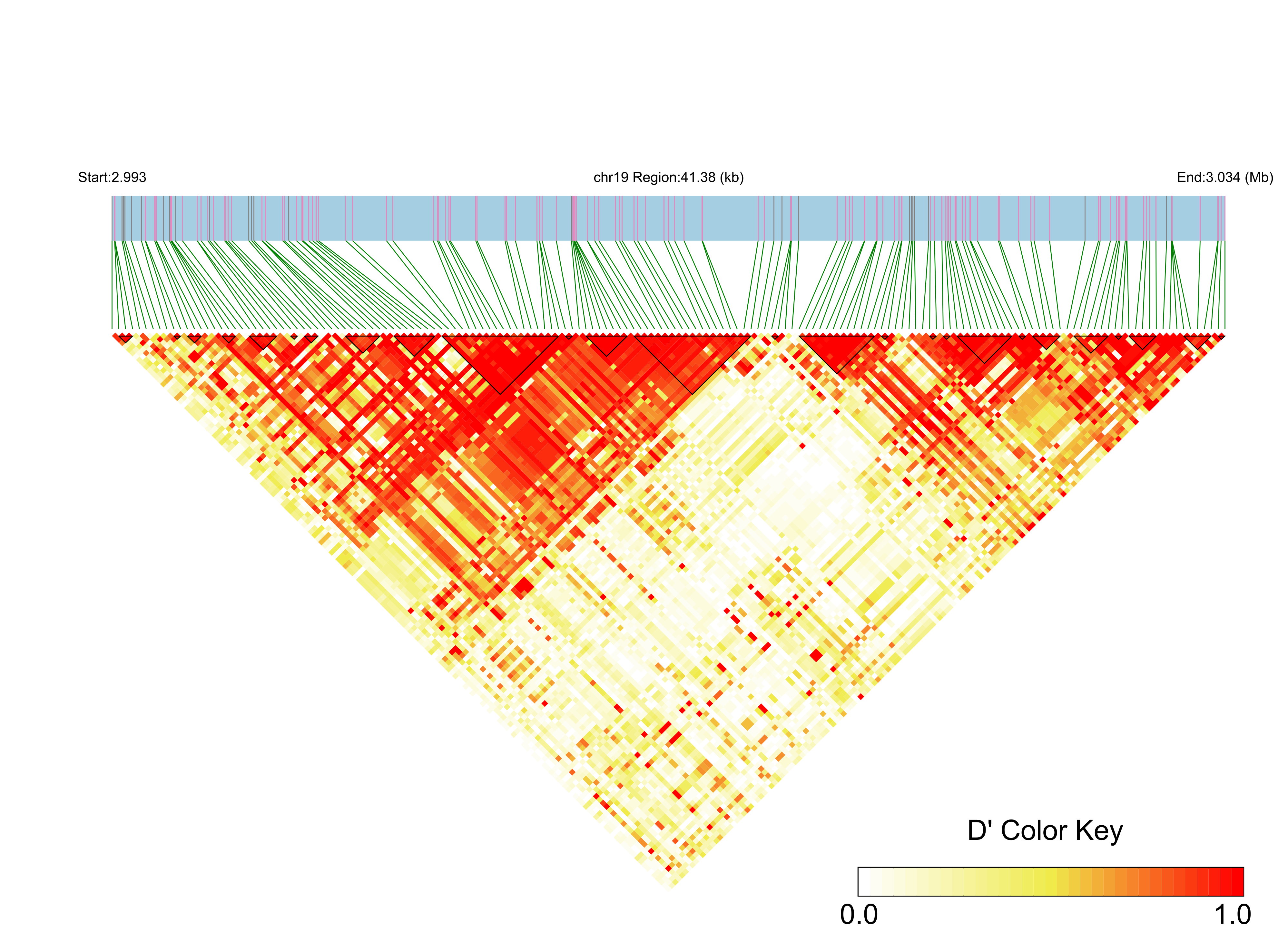 LD