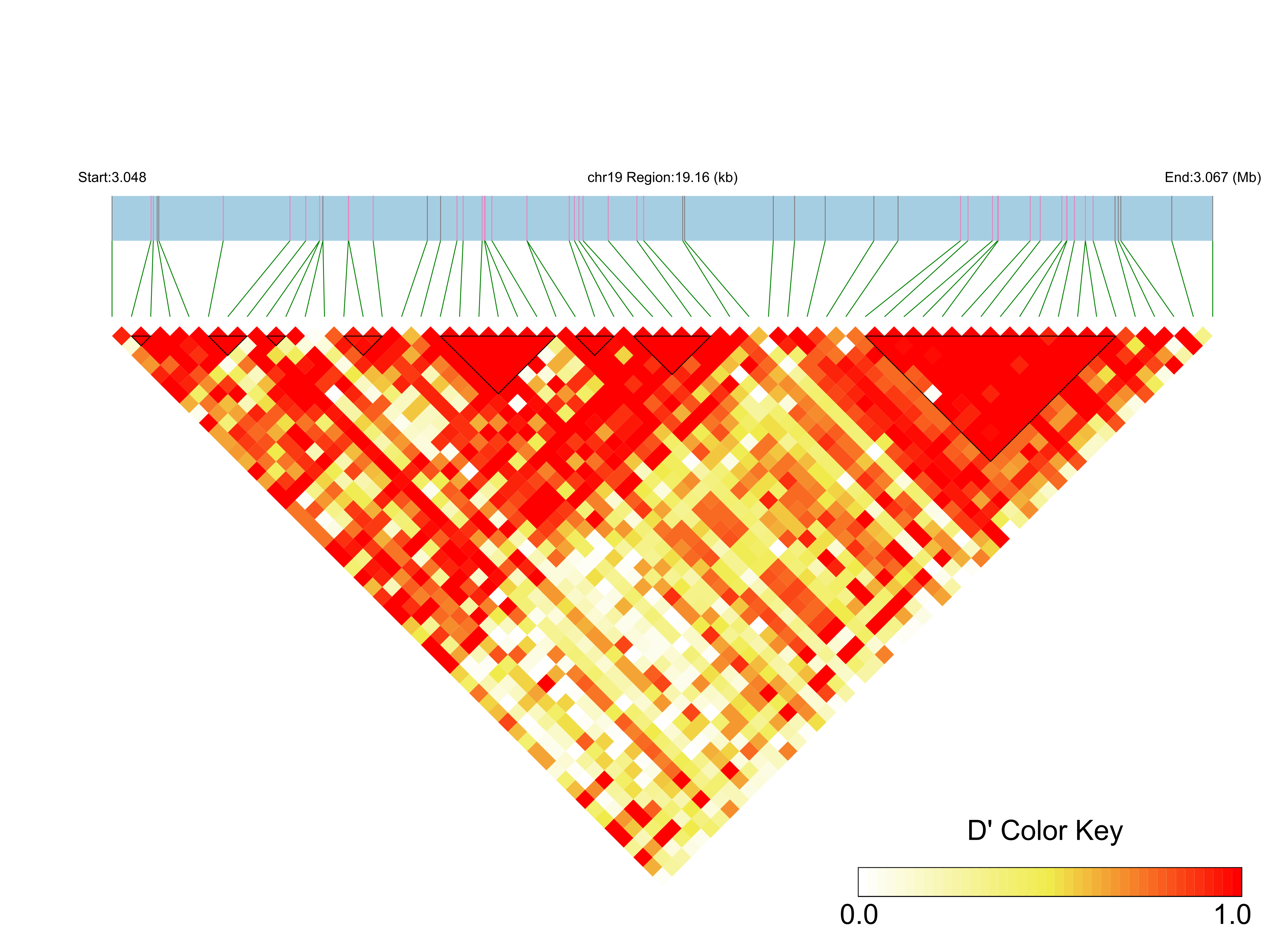 LD