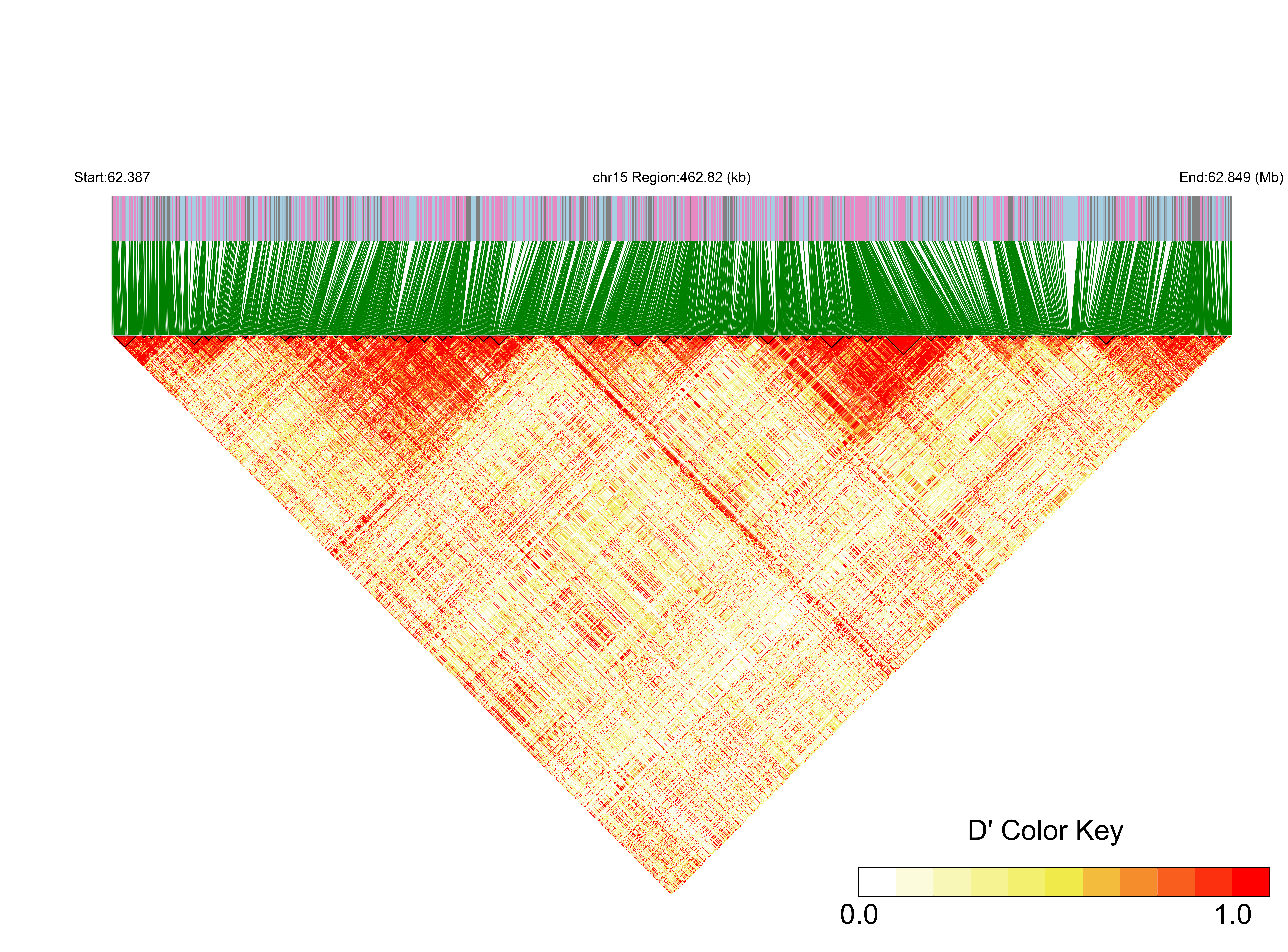 LD