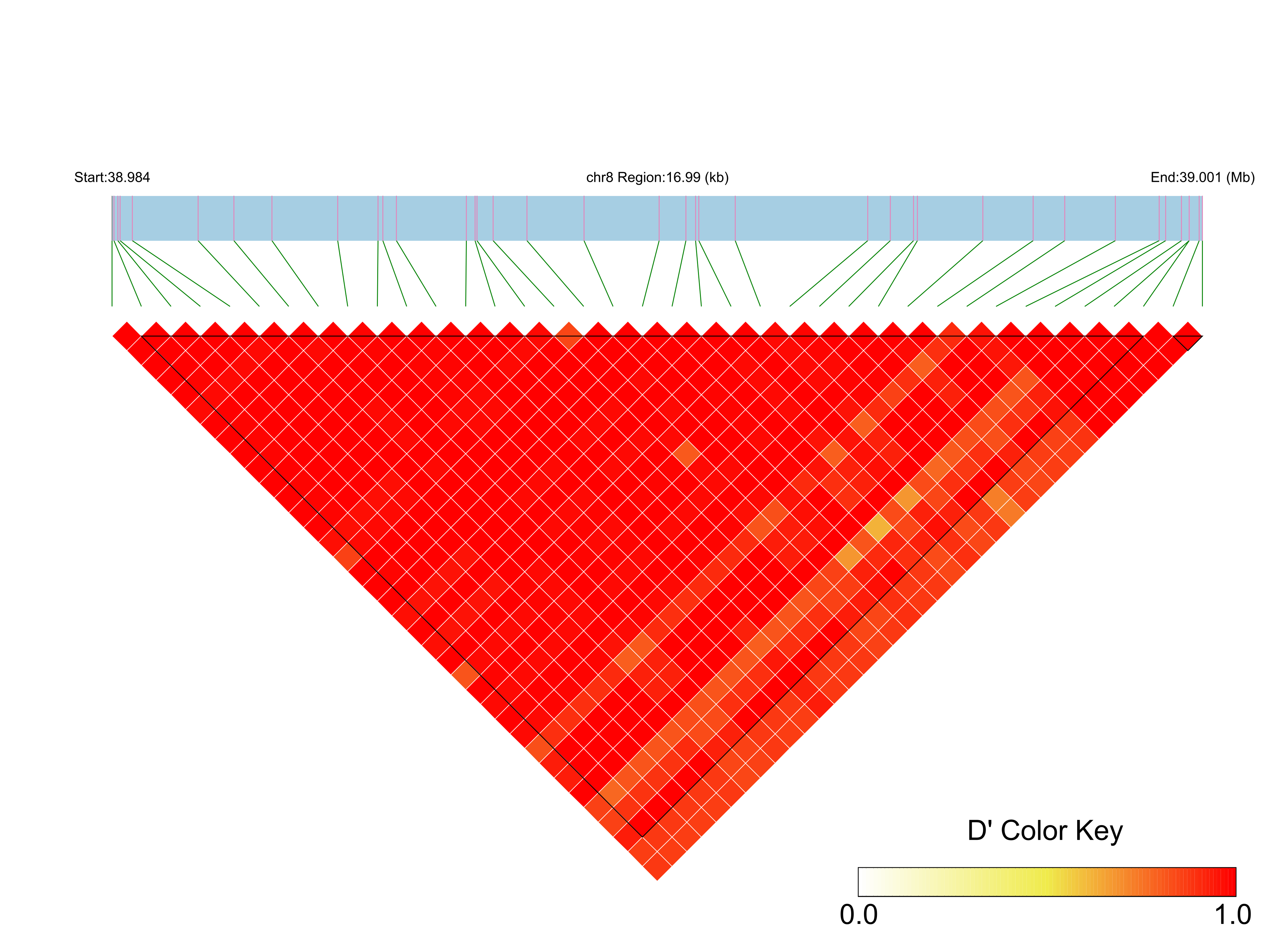 LD