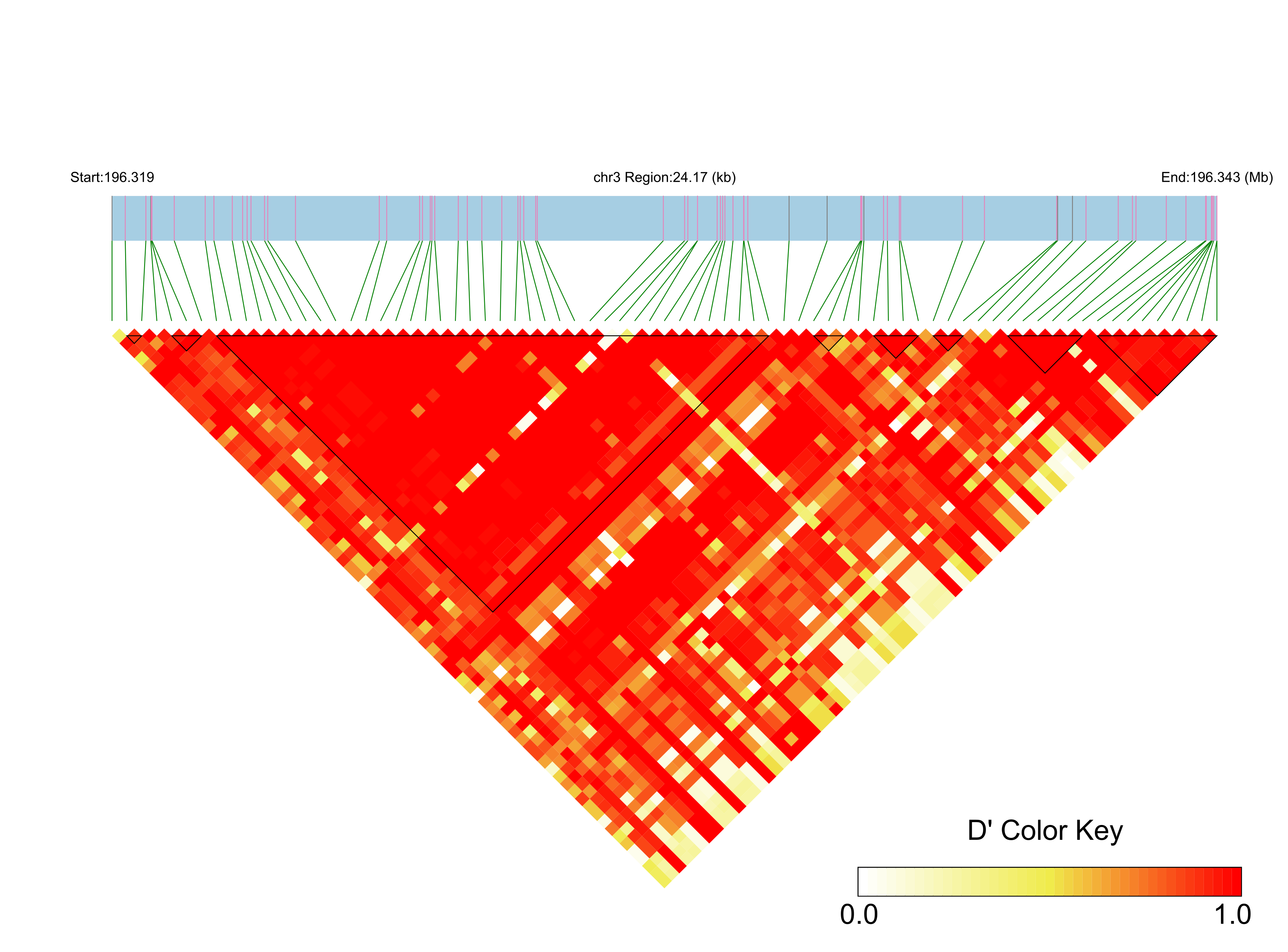 LD