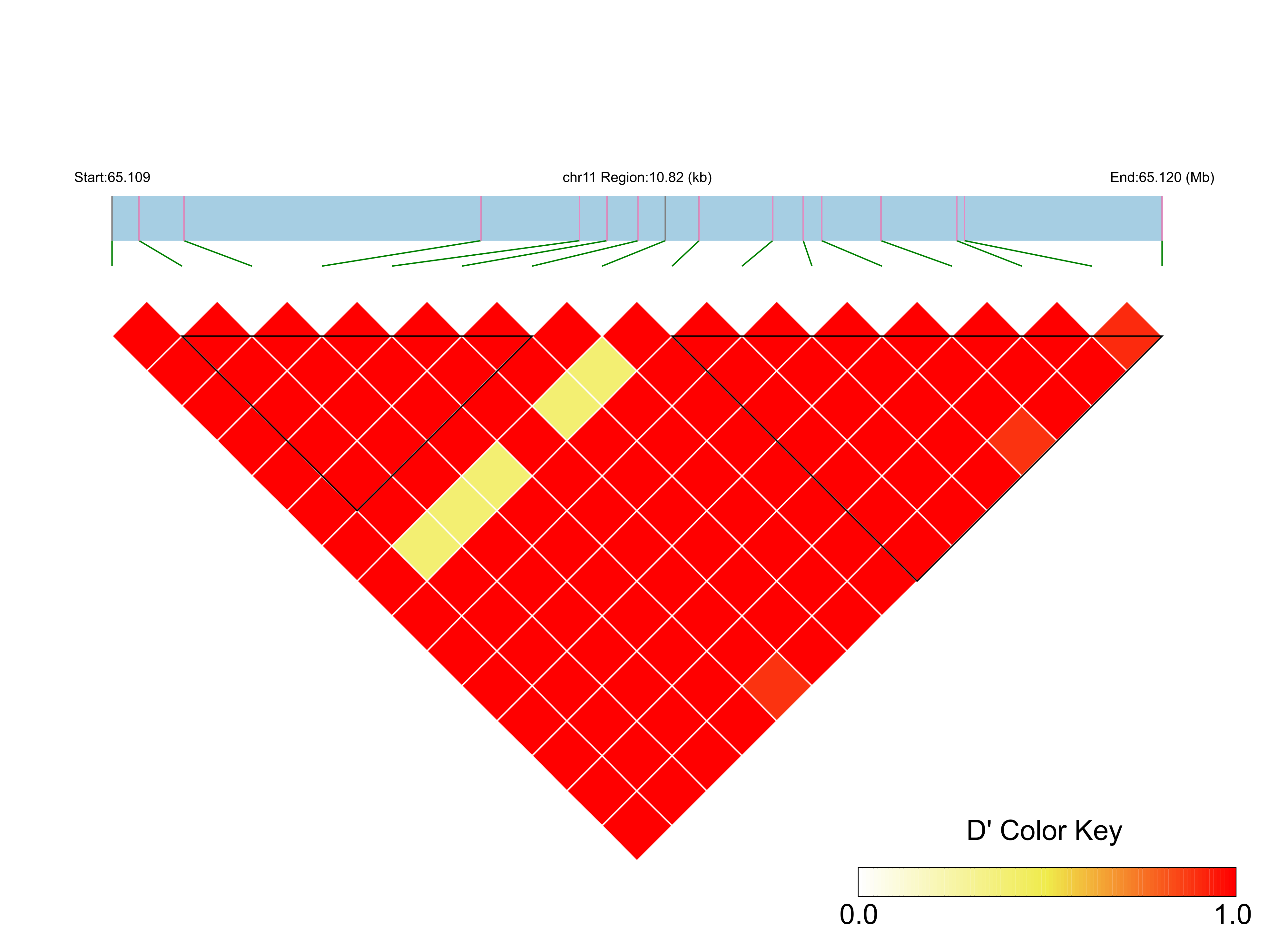 LD