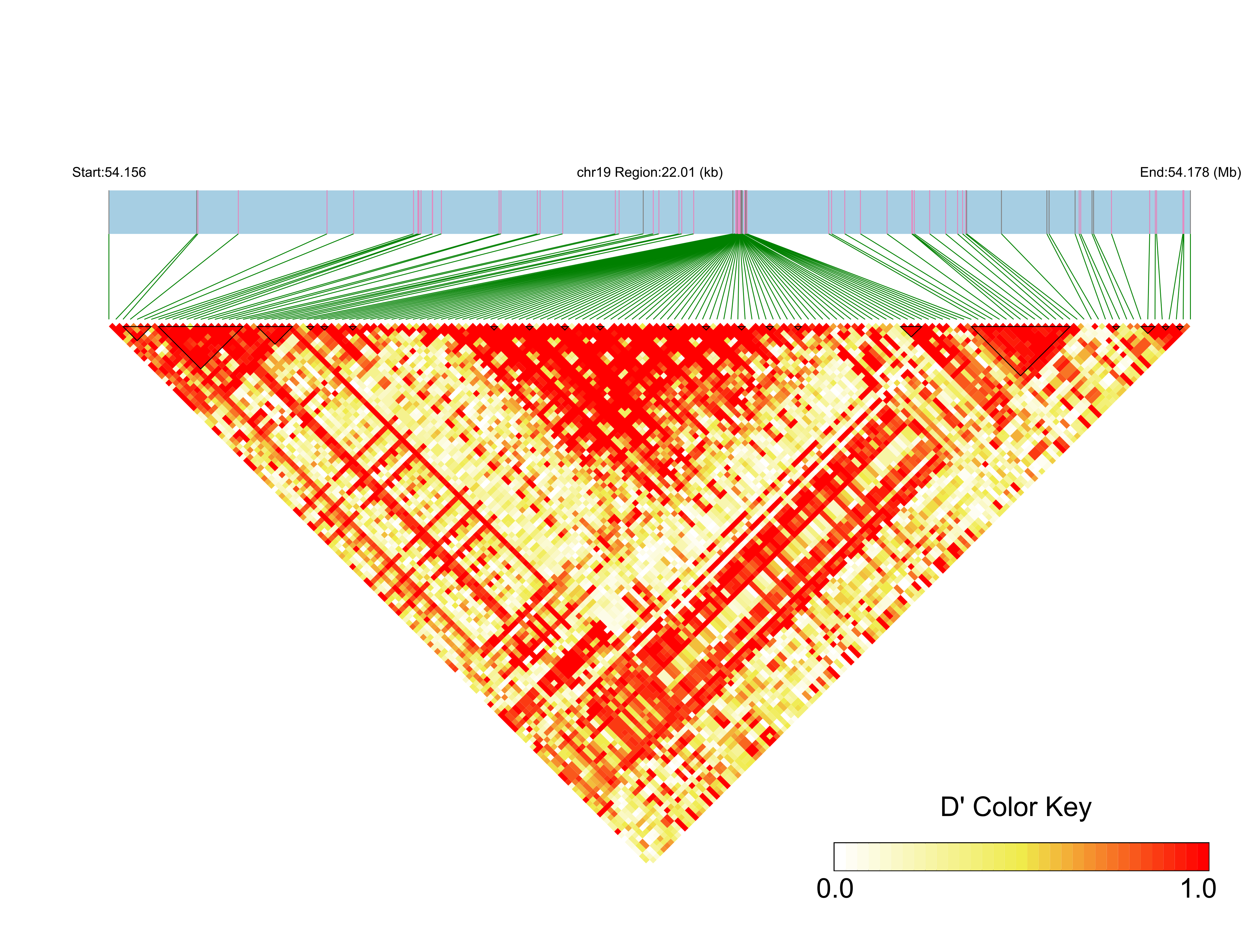LD