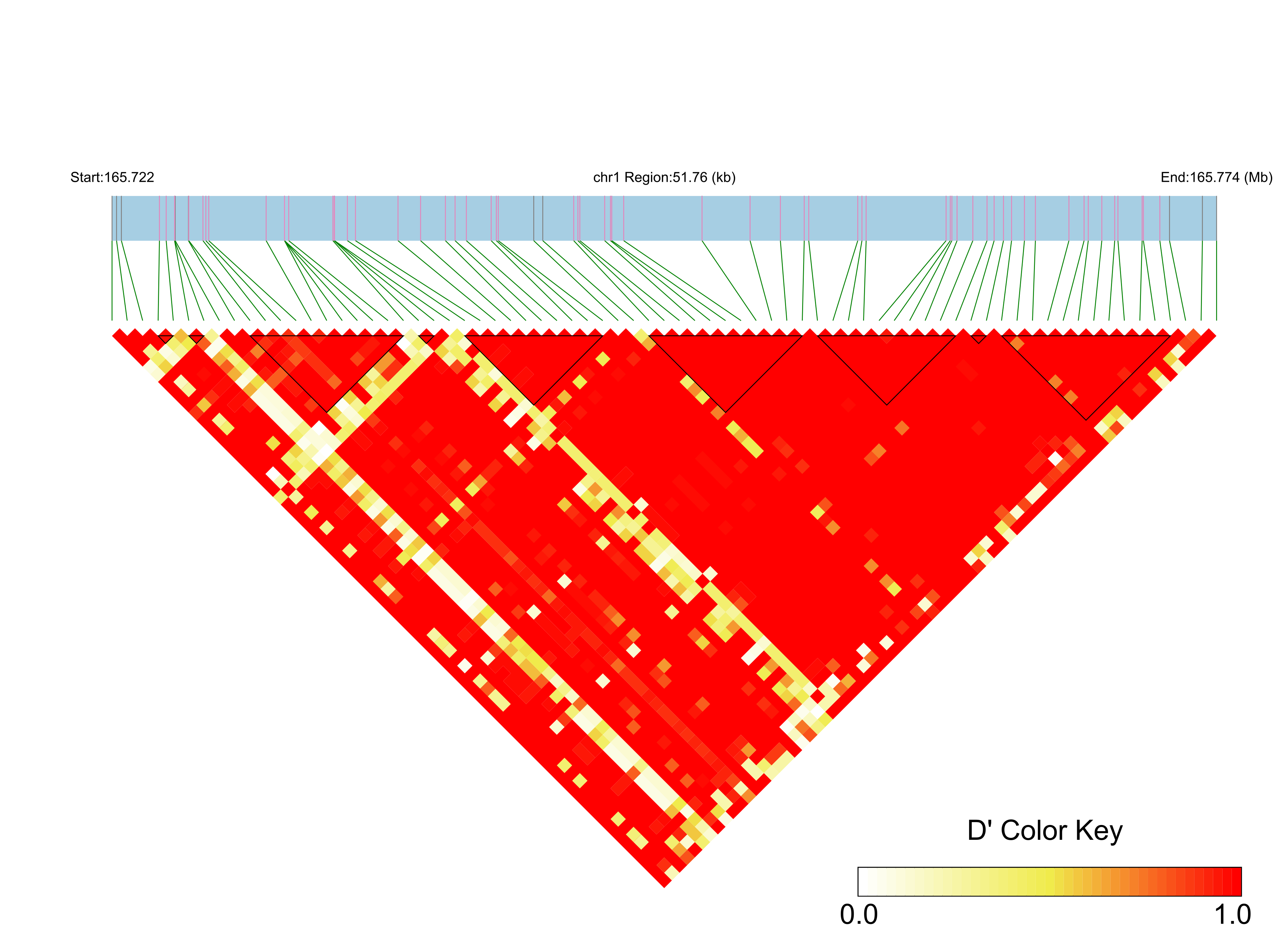 LD
