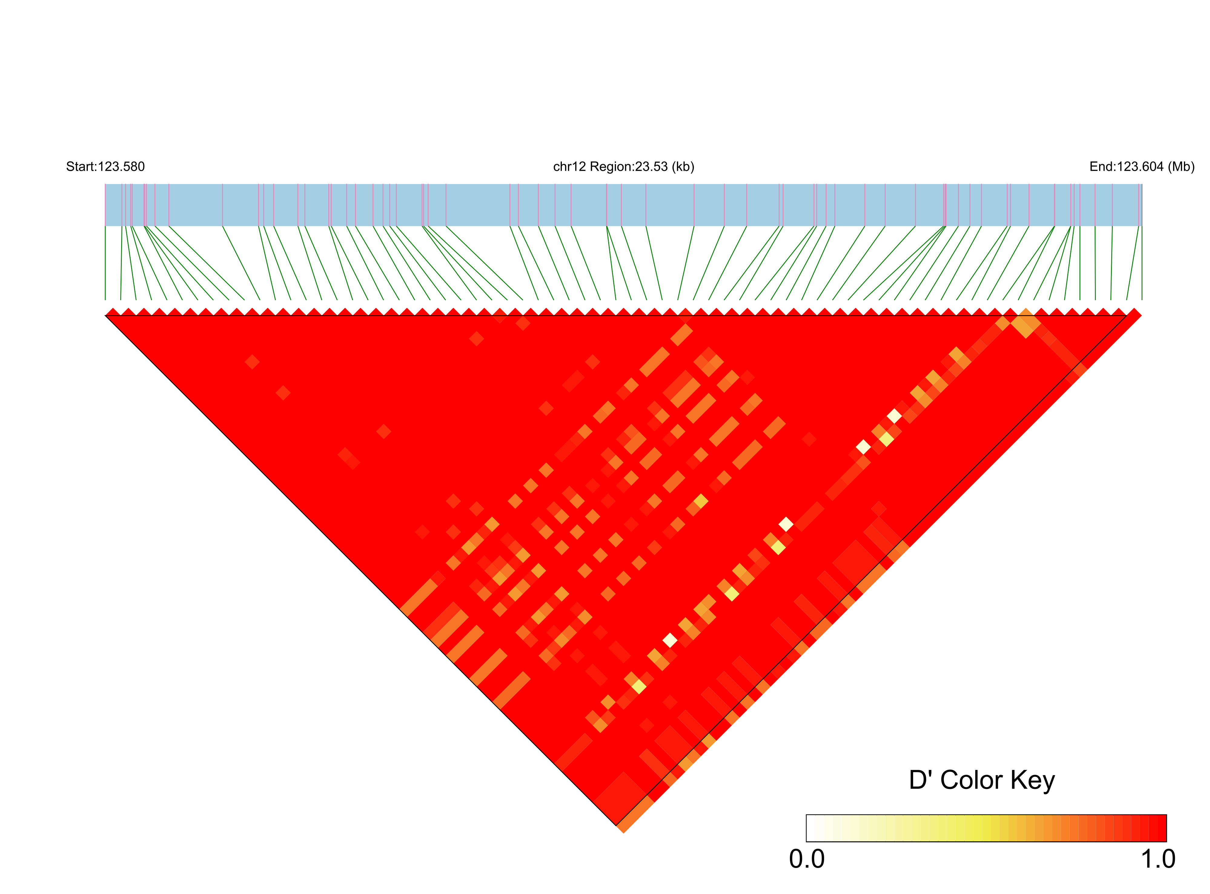 LD