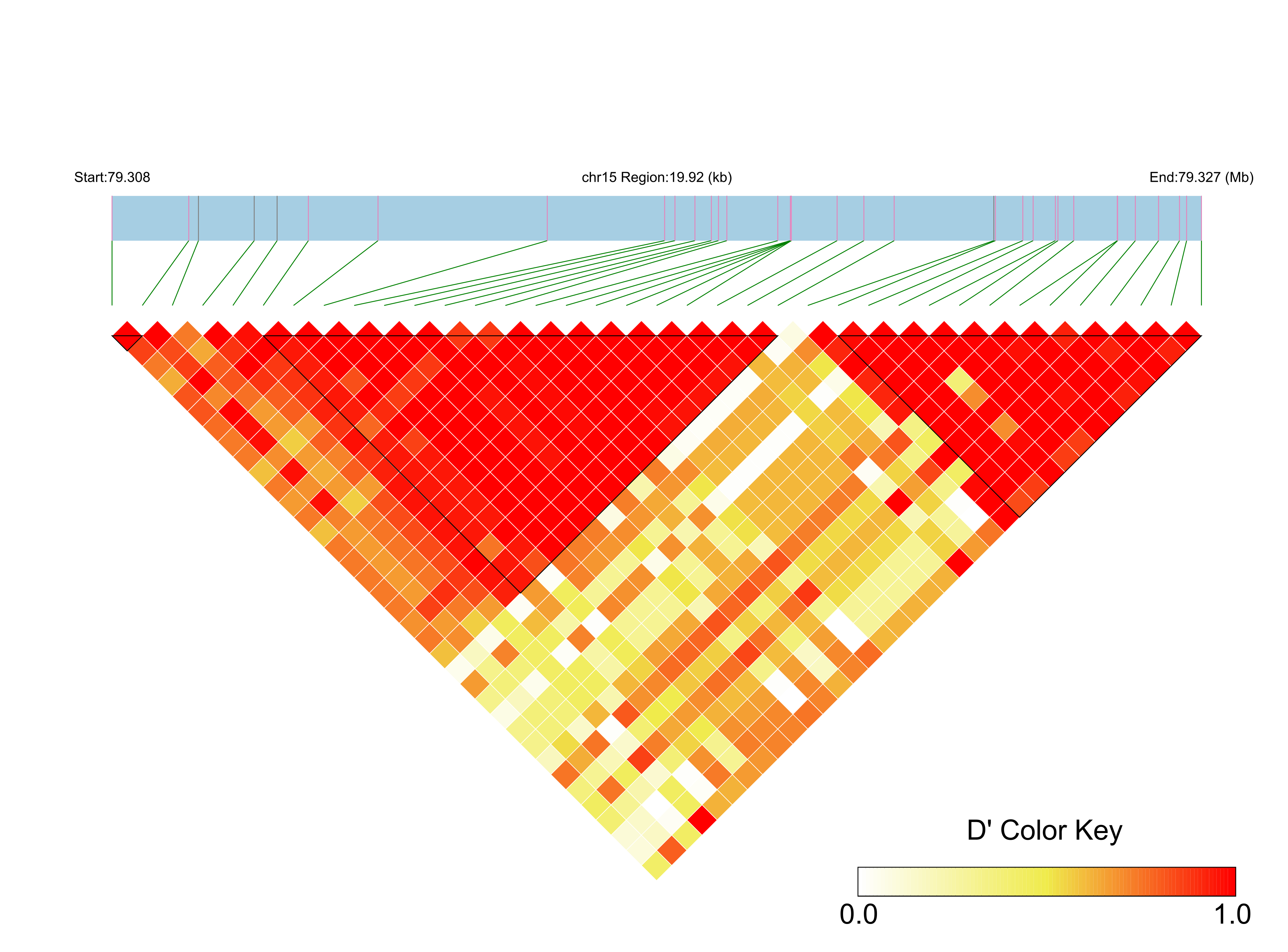 LD