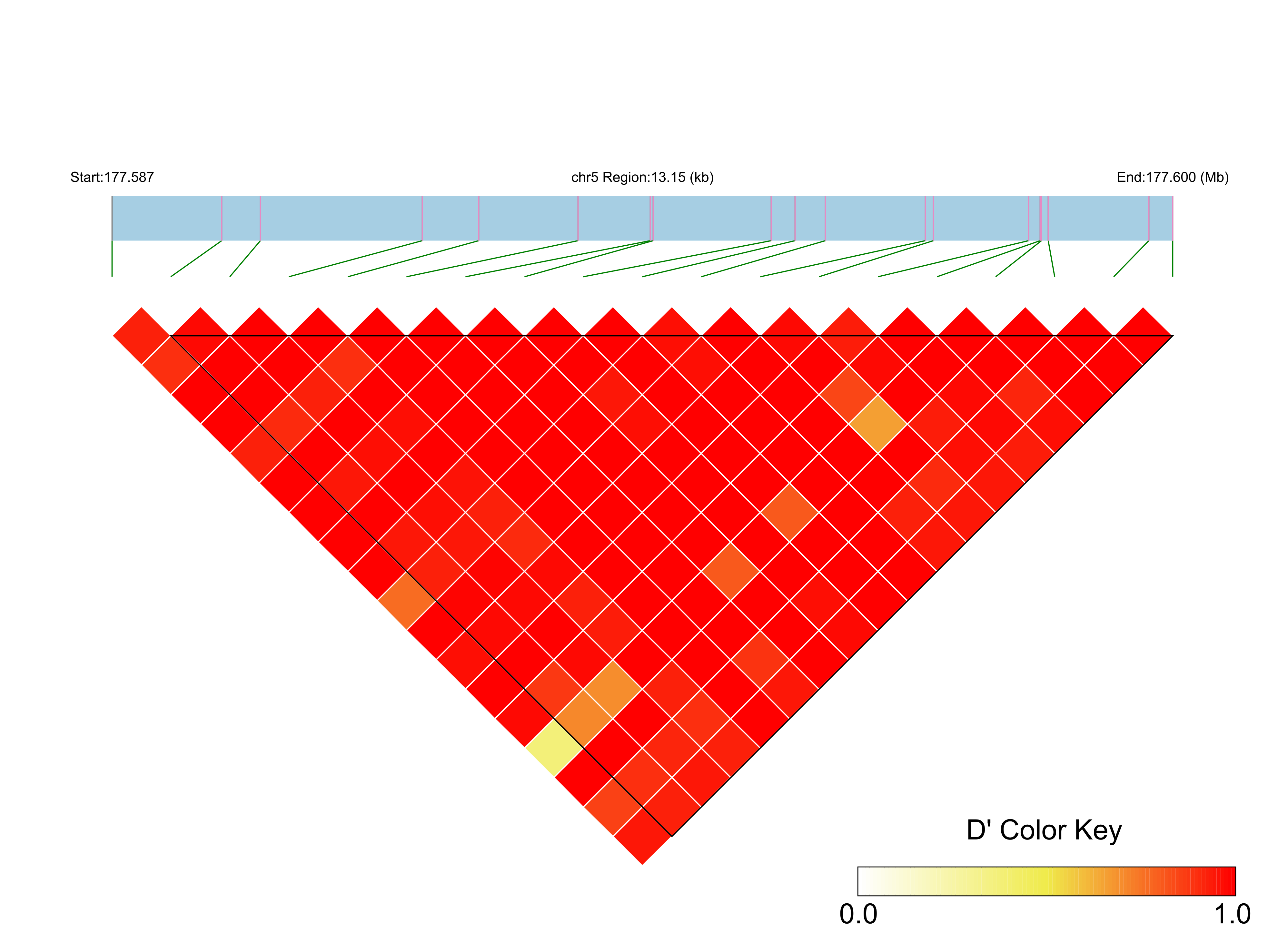 LD