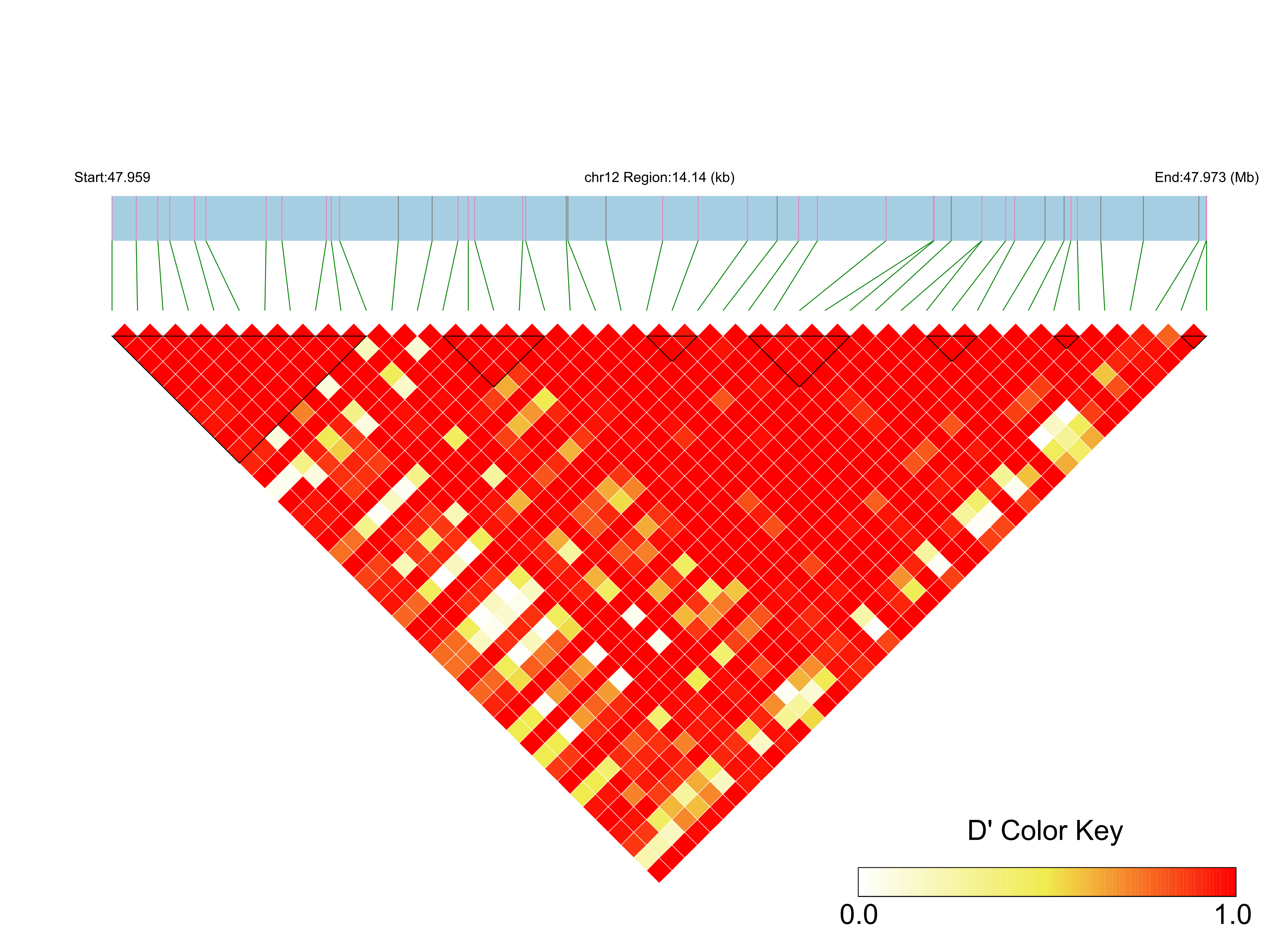 LD