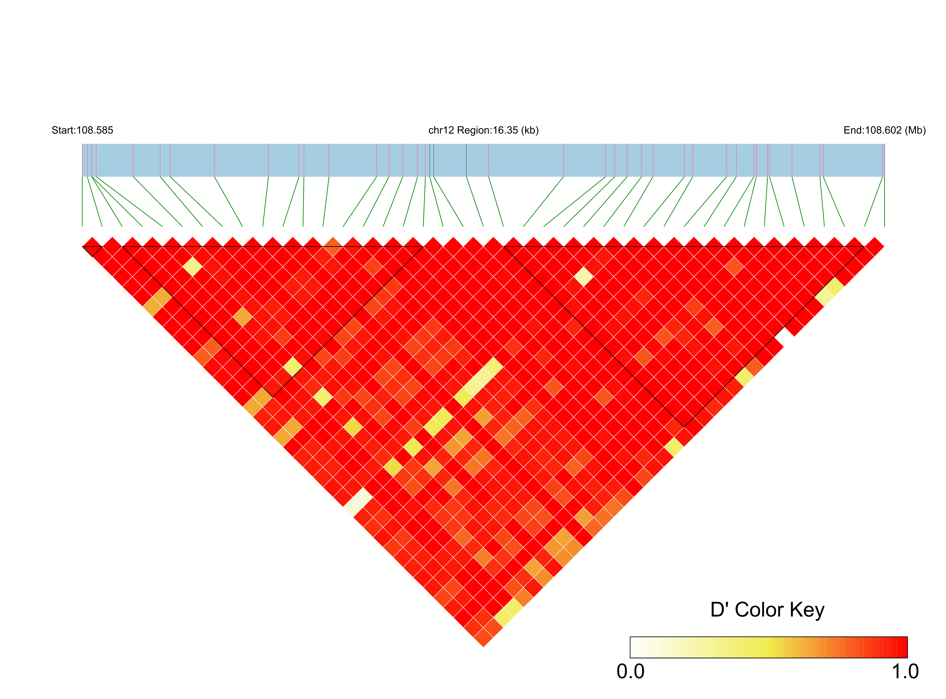 LD