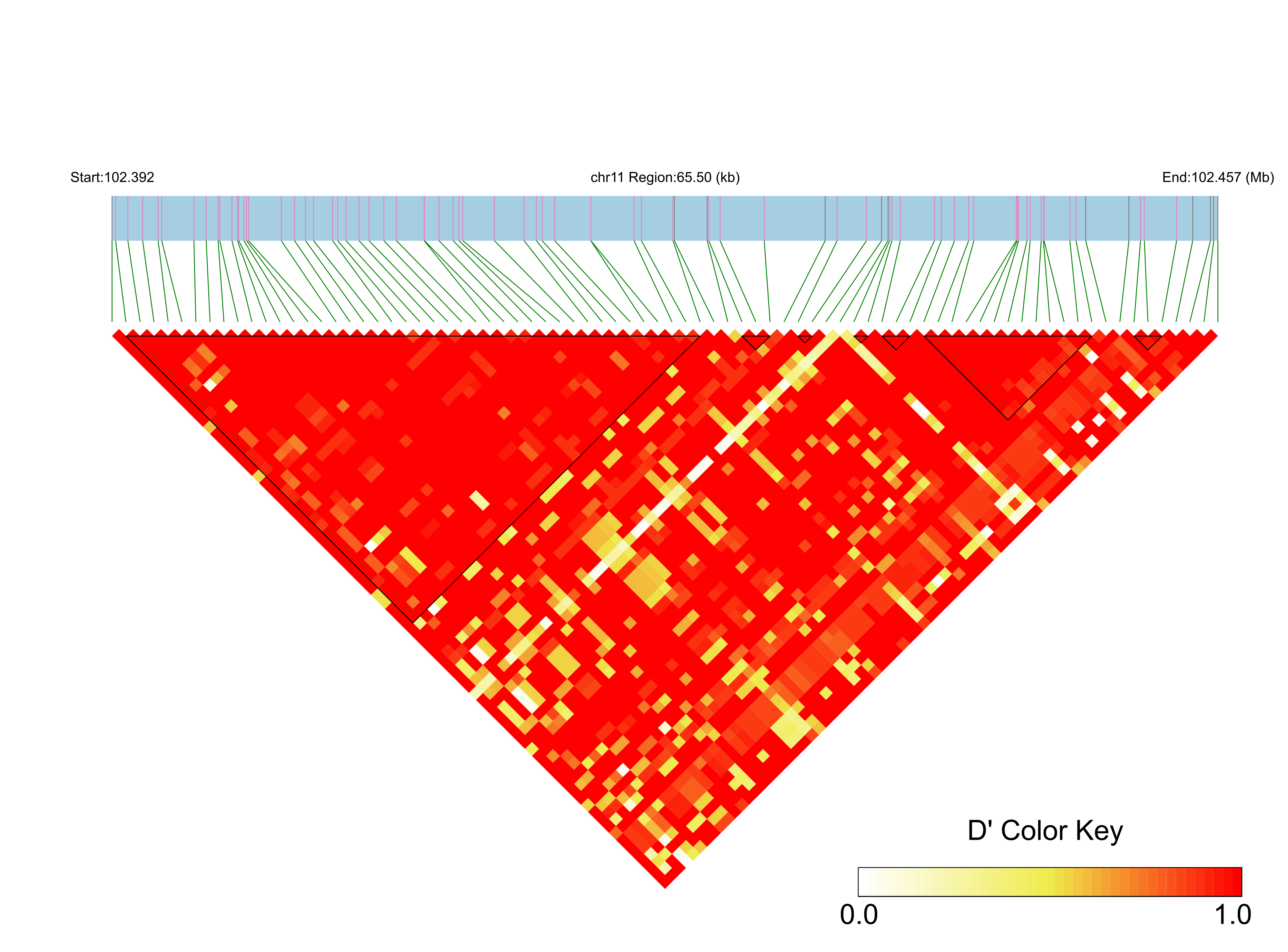 LD