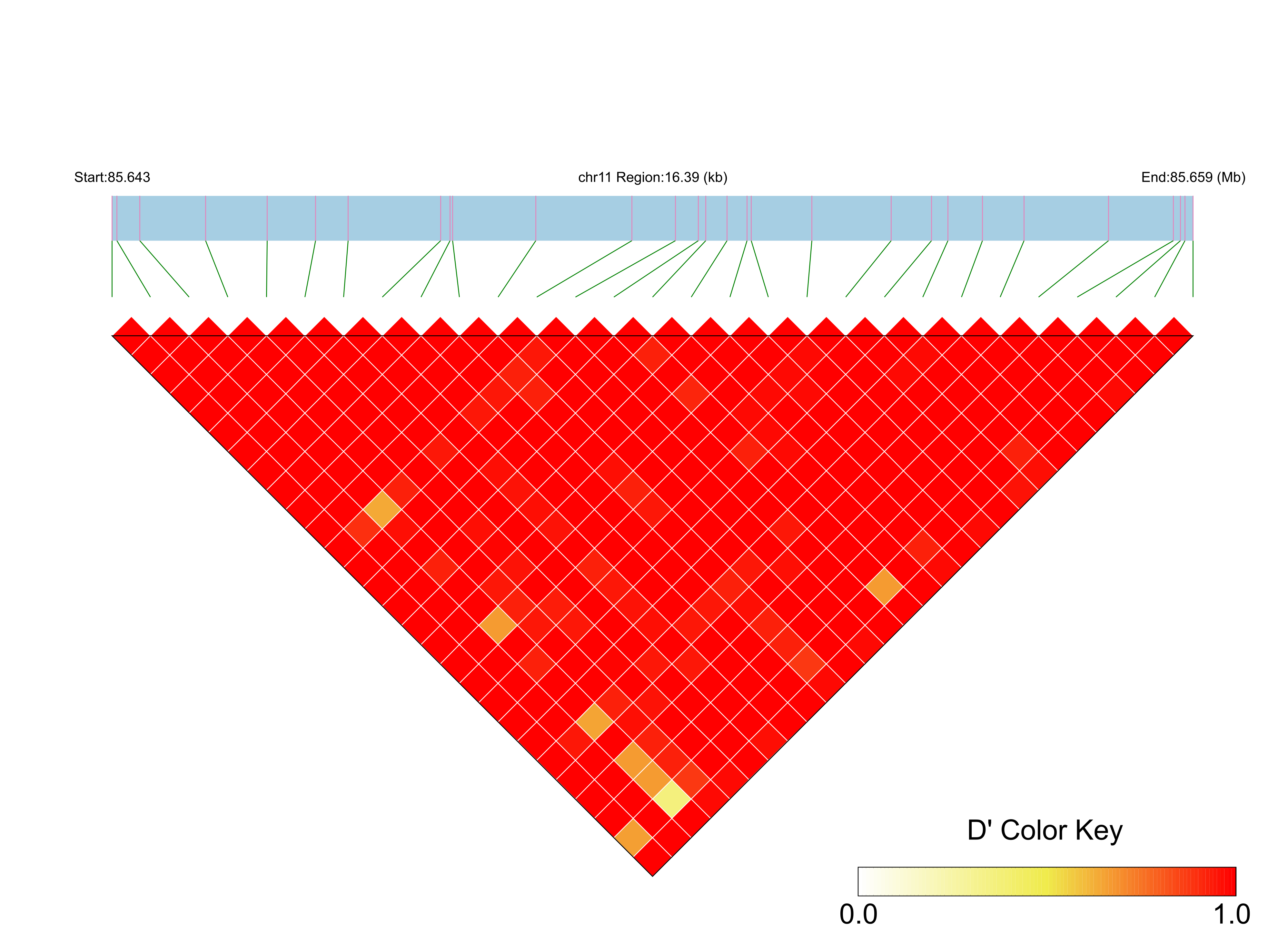LD