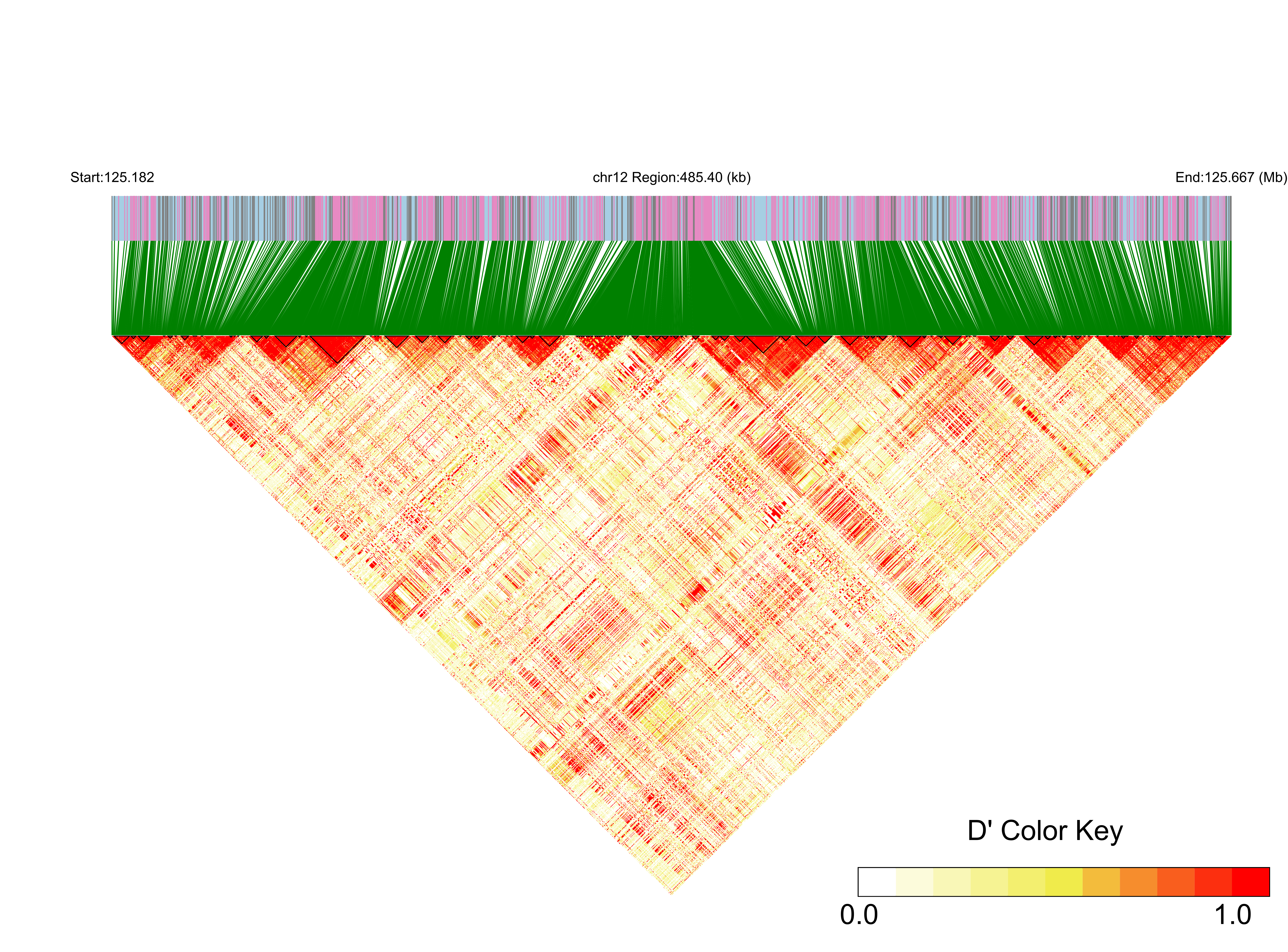 LD