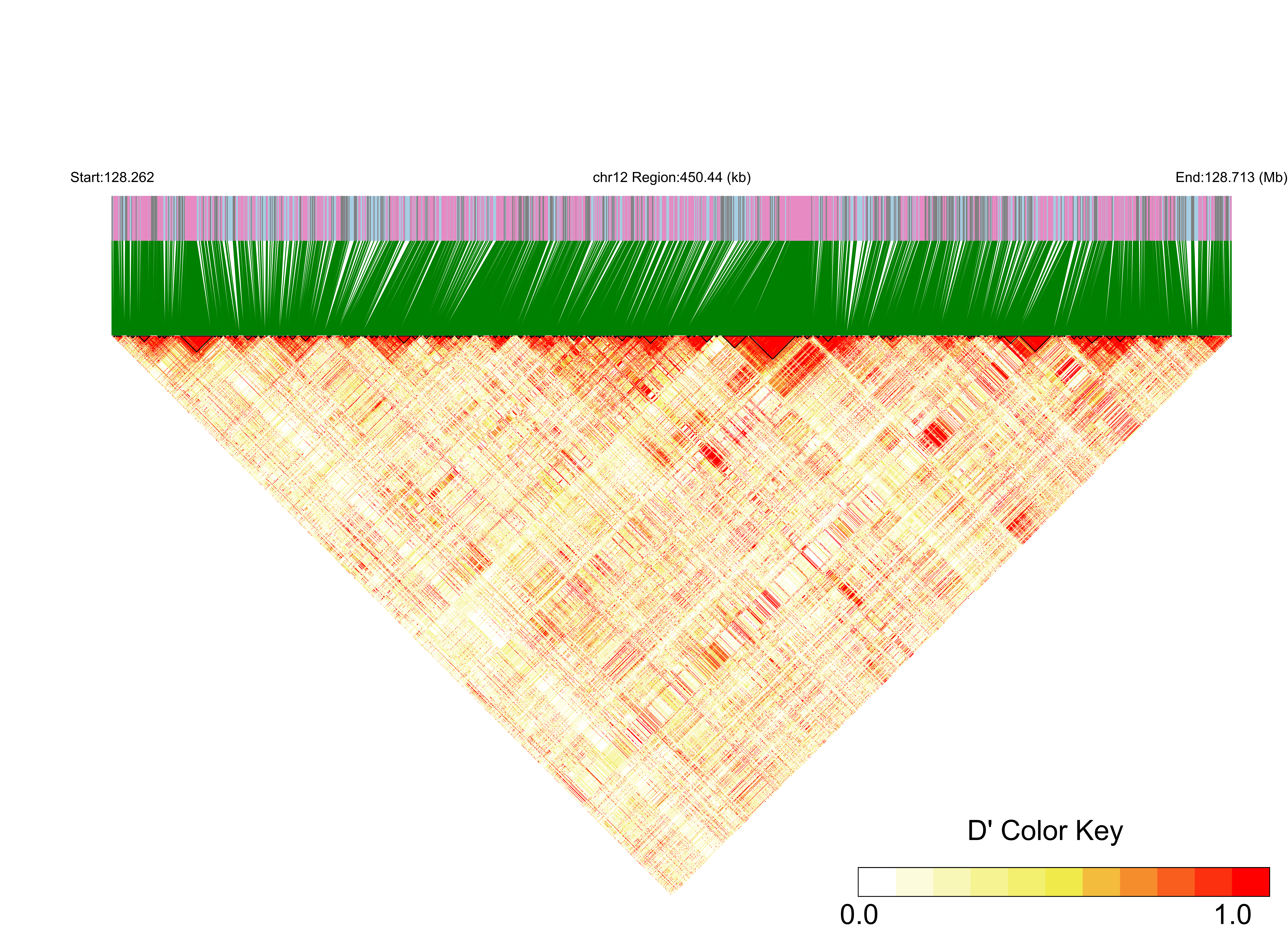 LD