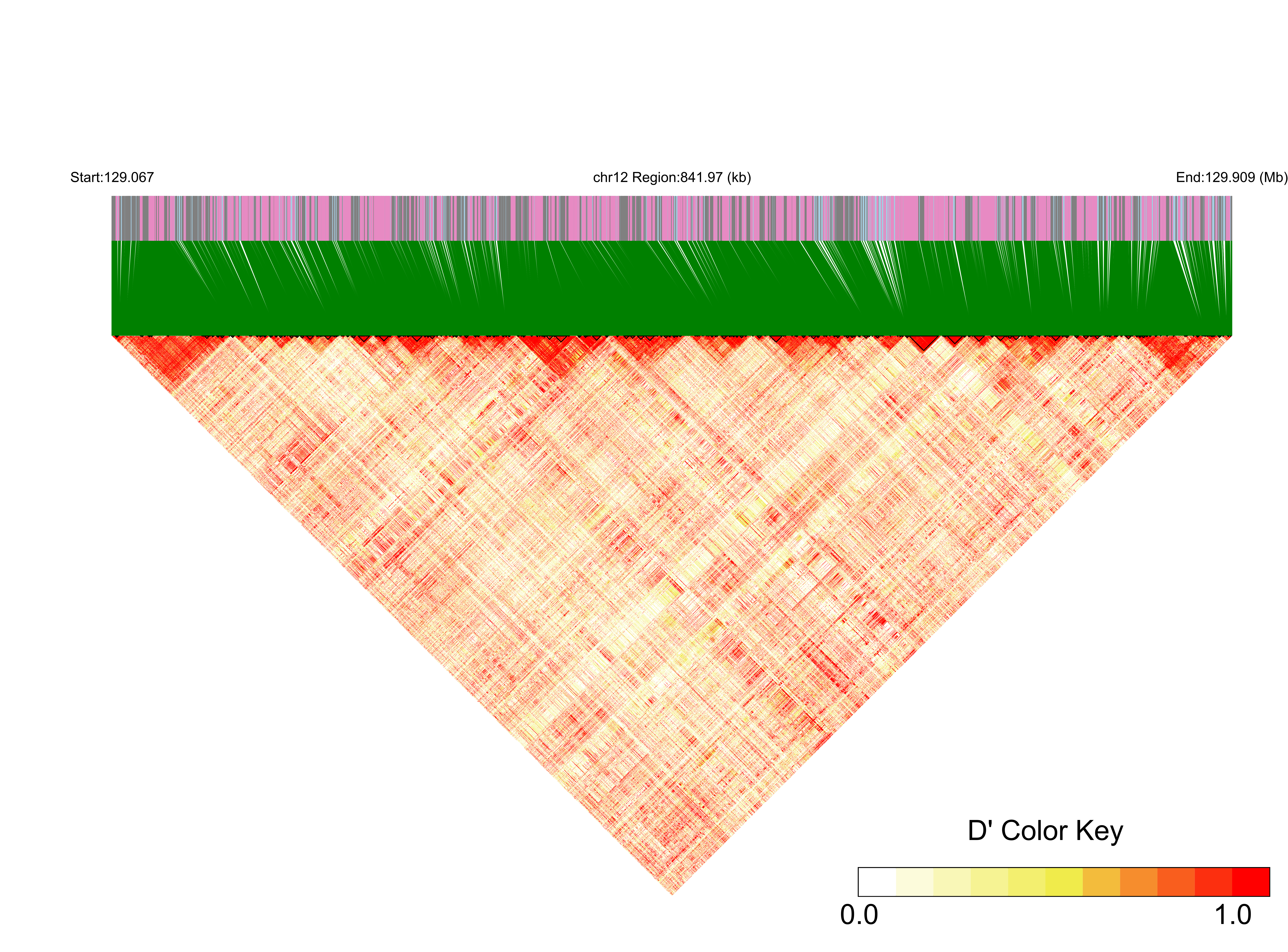 LD
