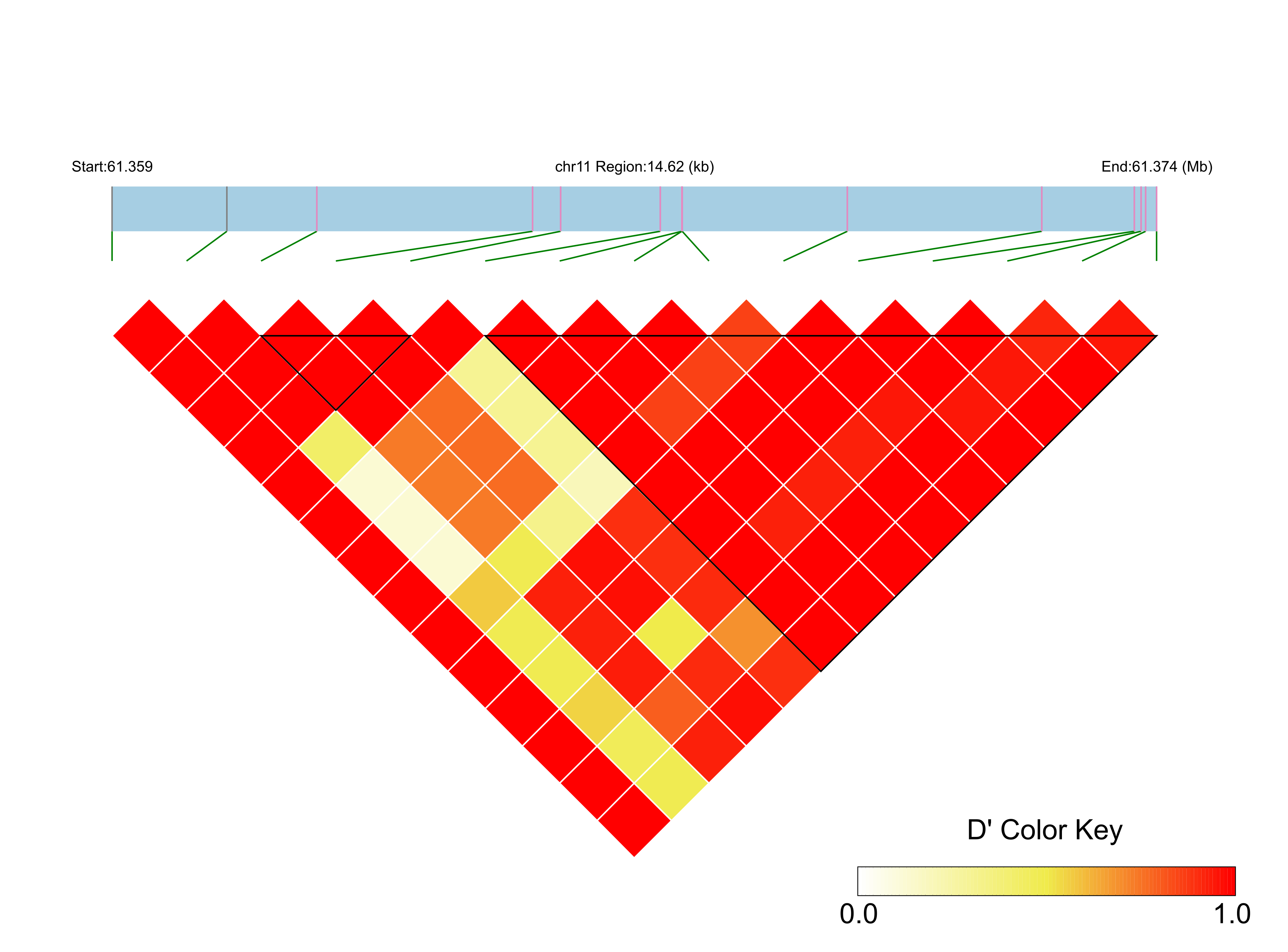 LD