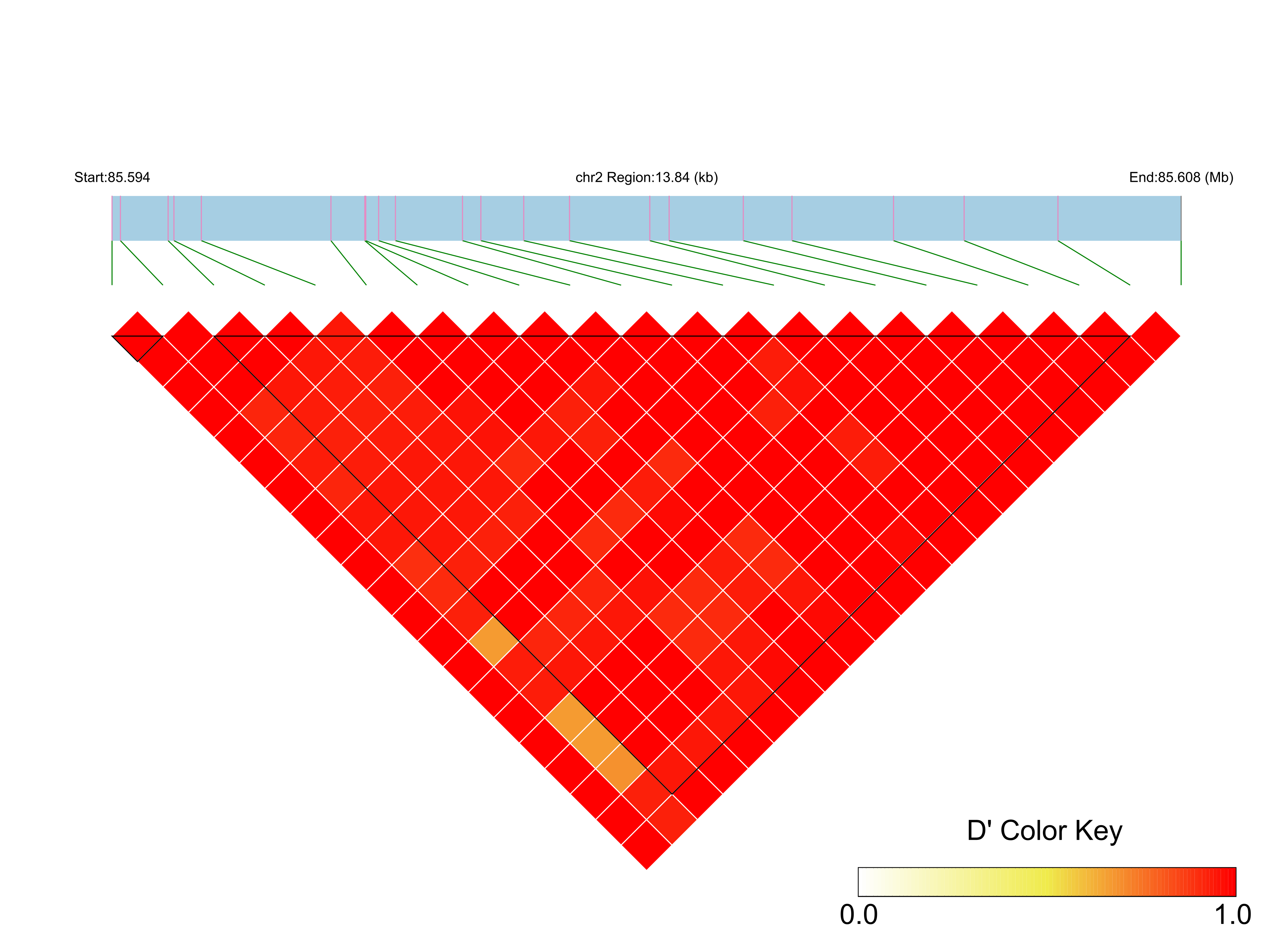 LD