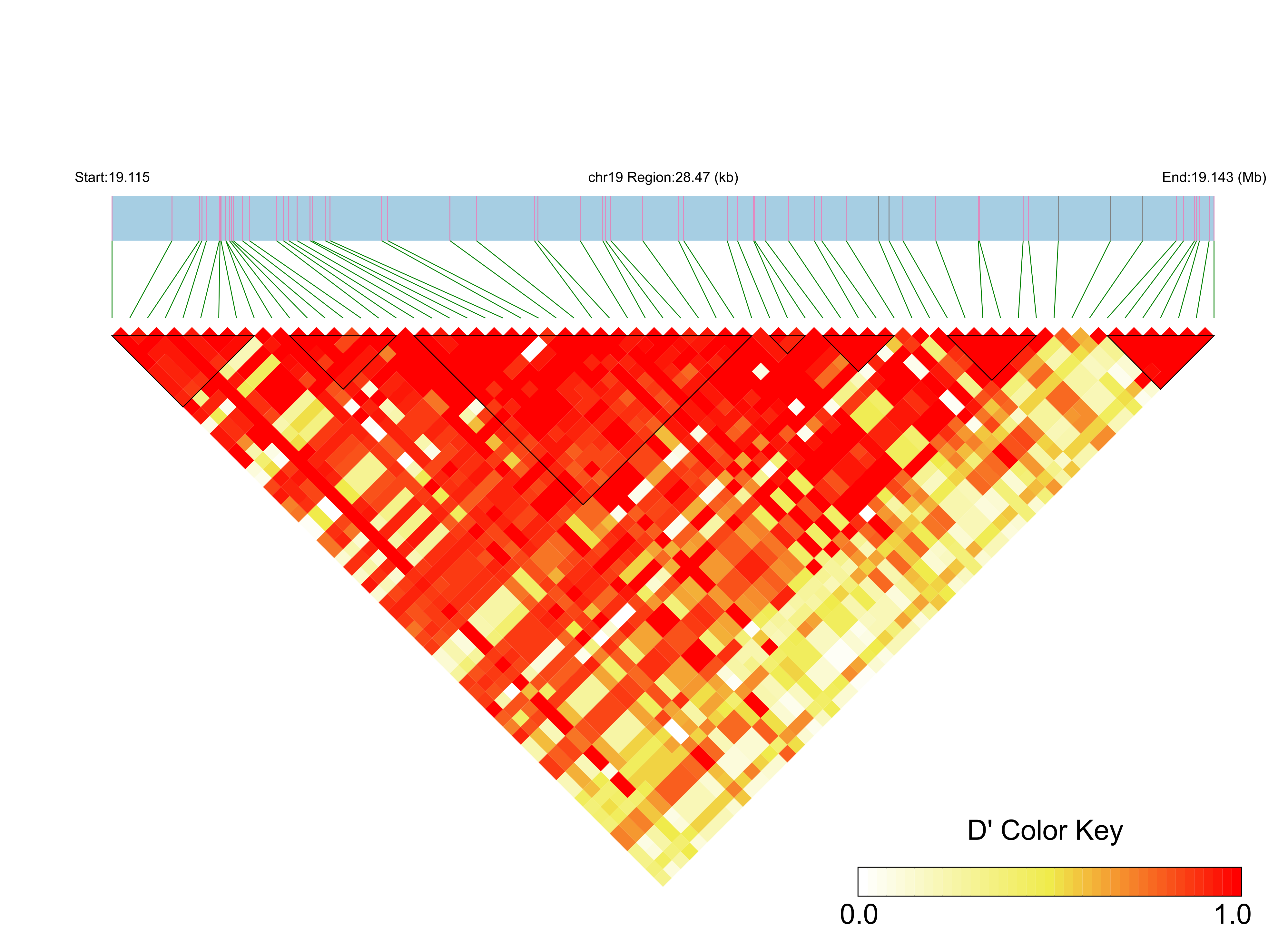 LD