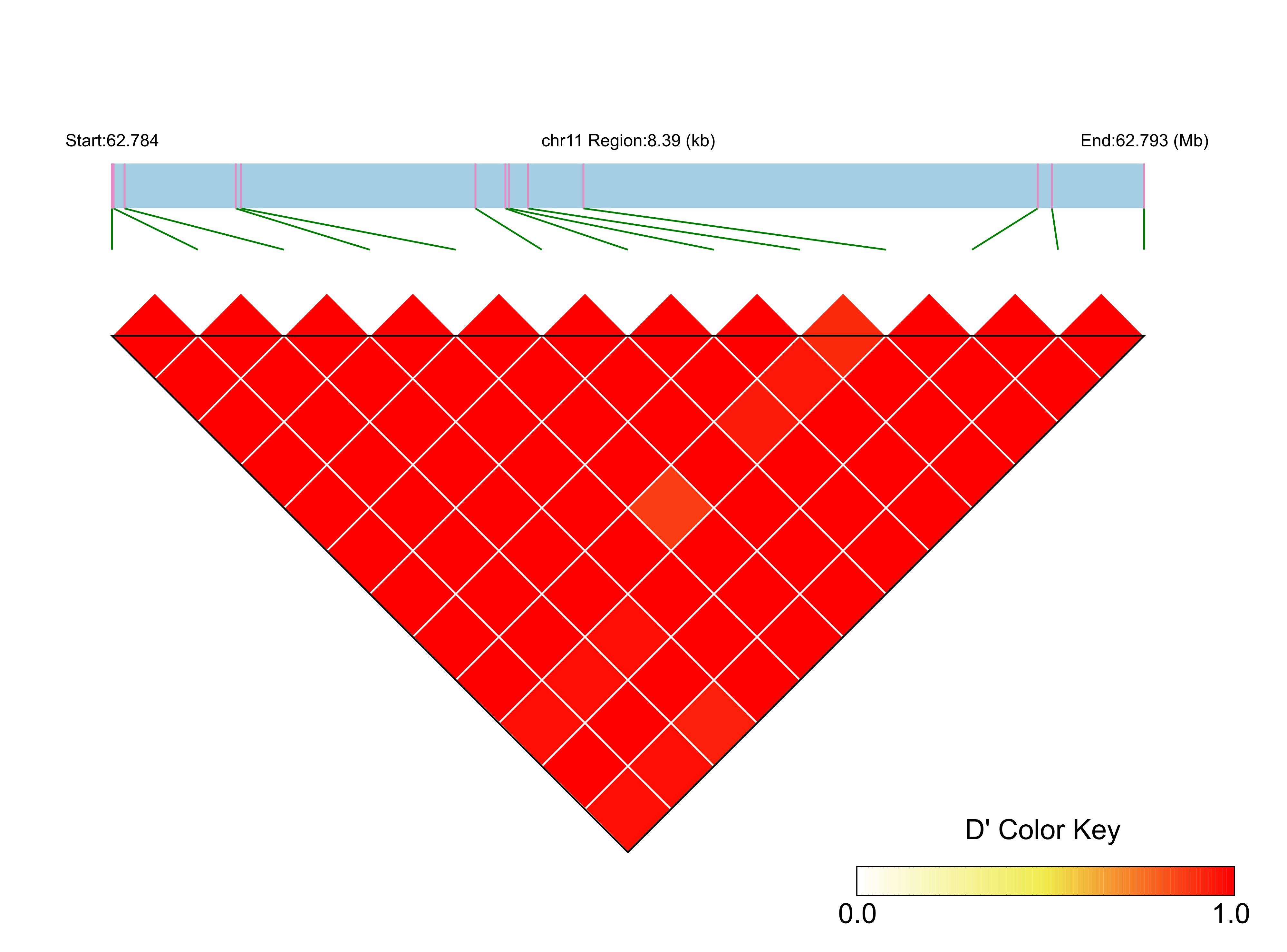 LD