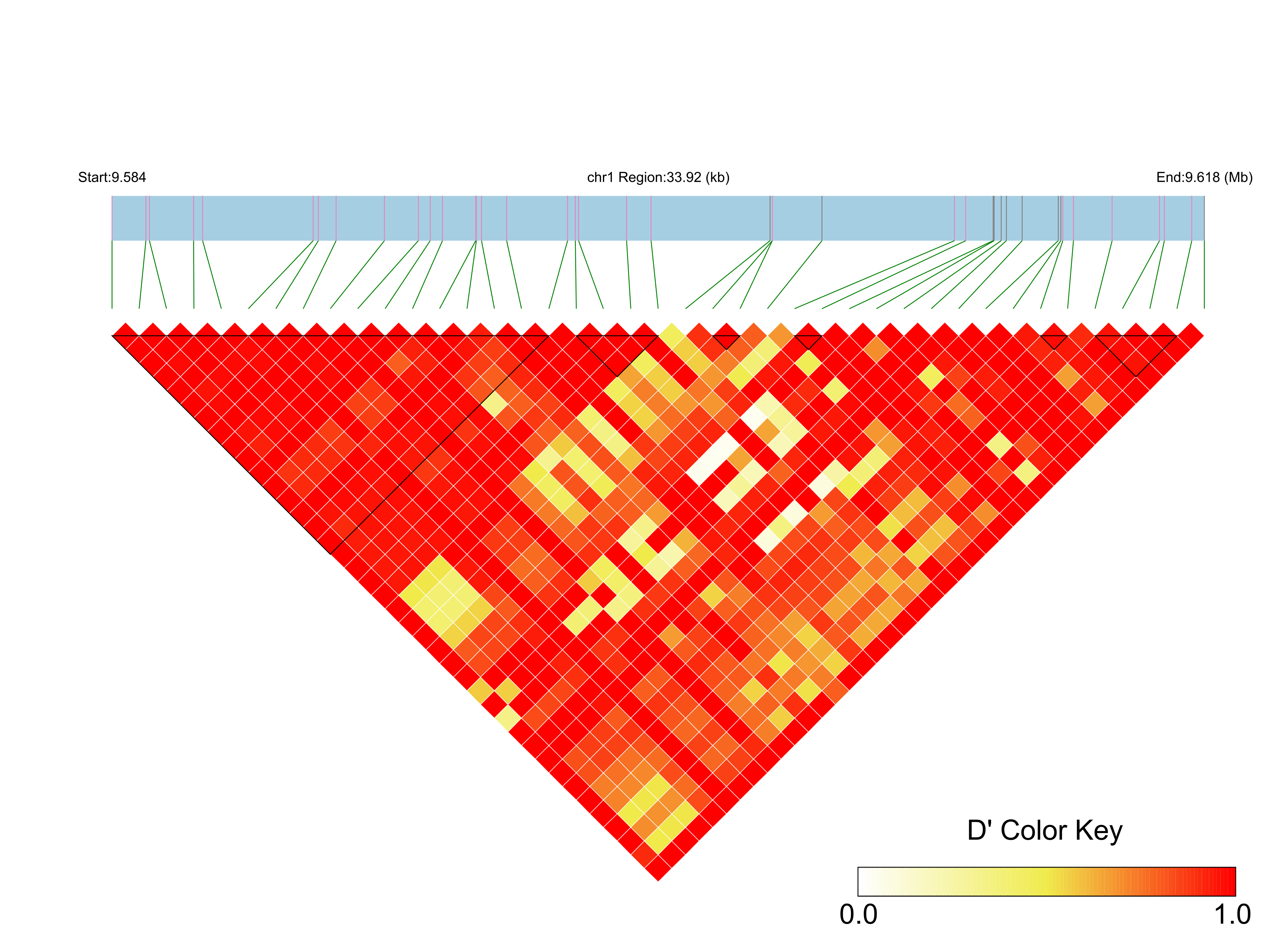 LD
