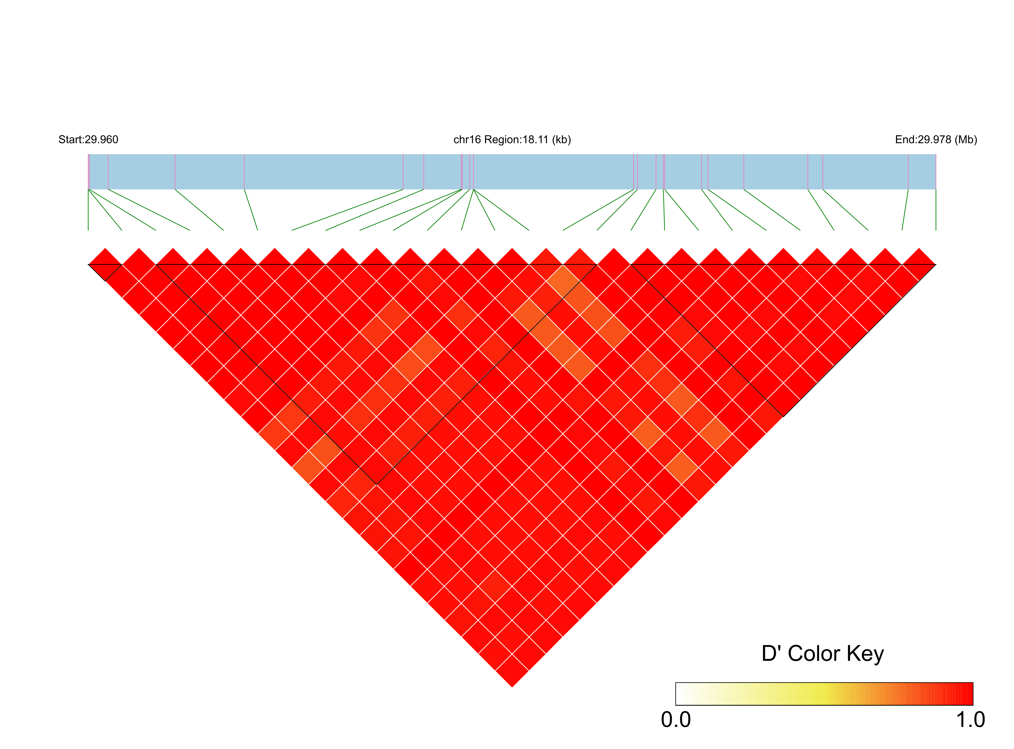 LD