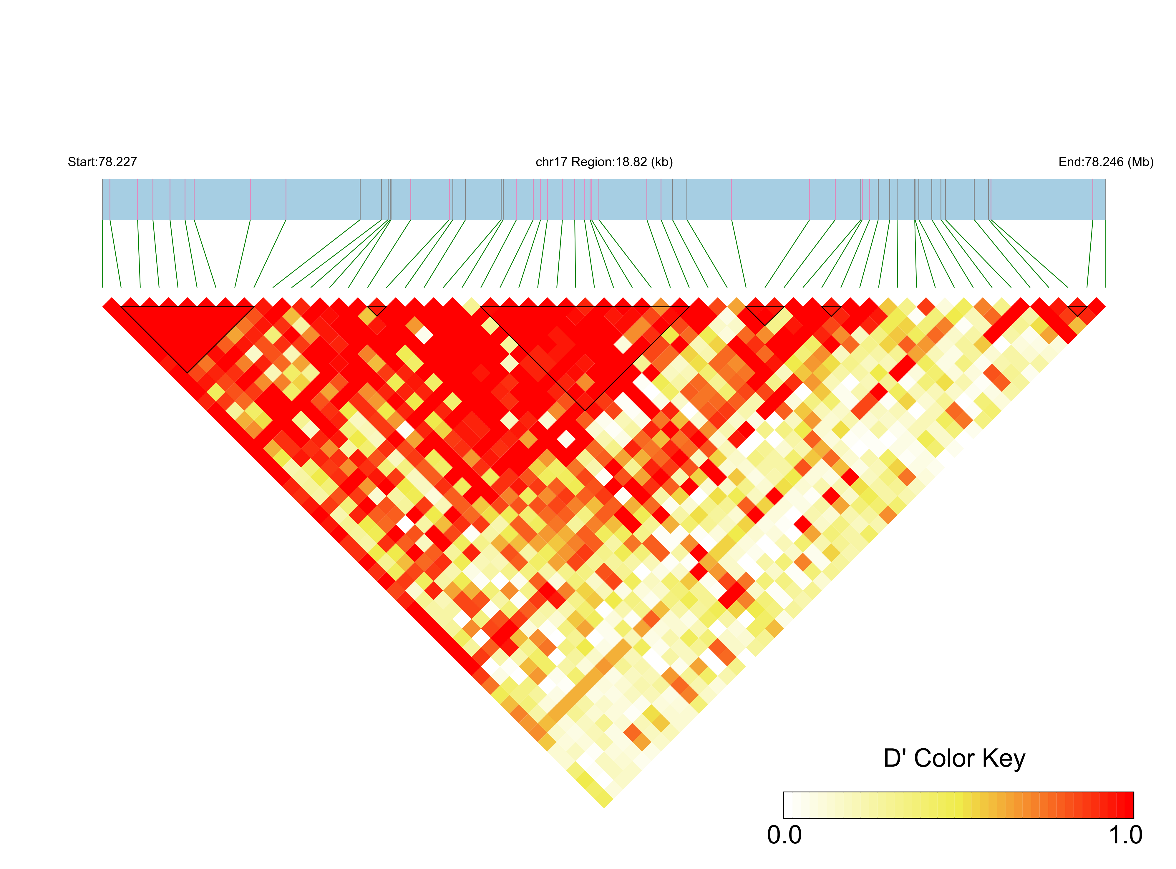 LD
