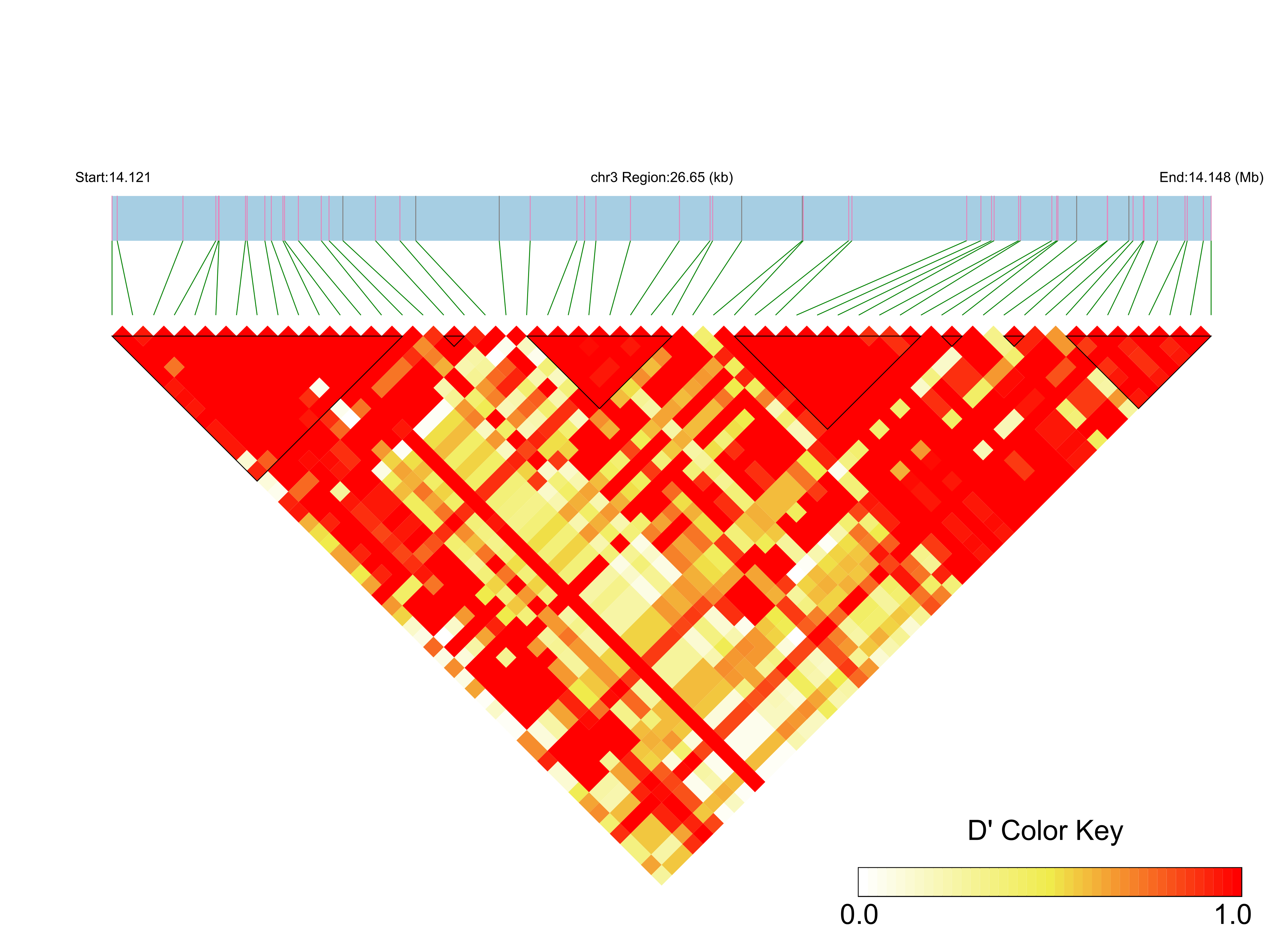 LD