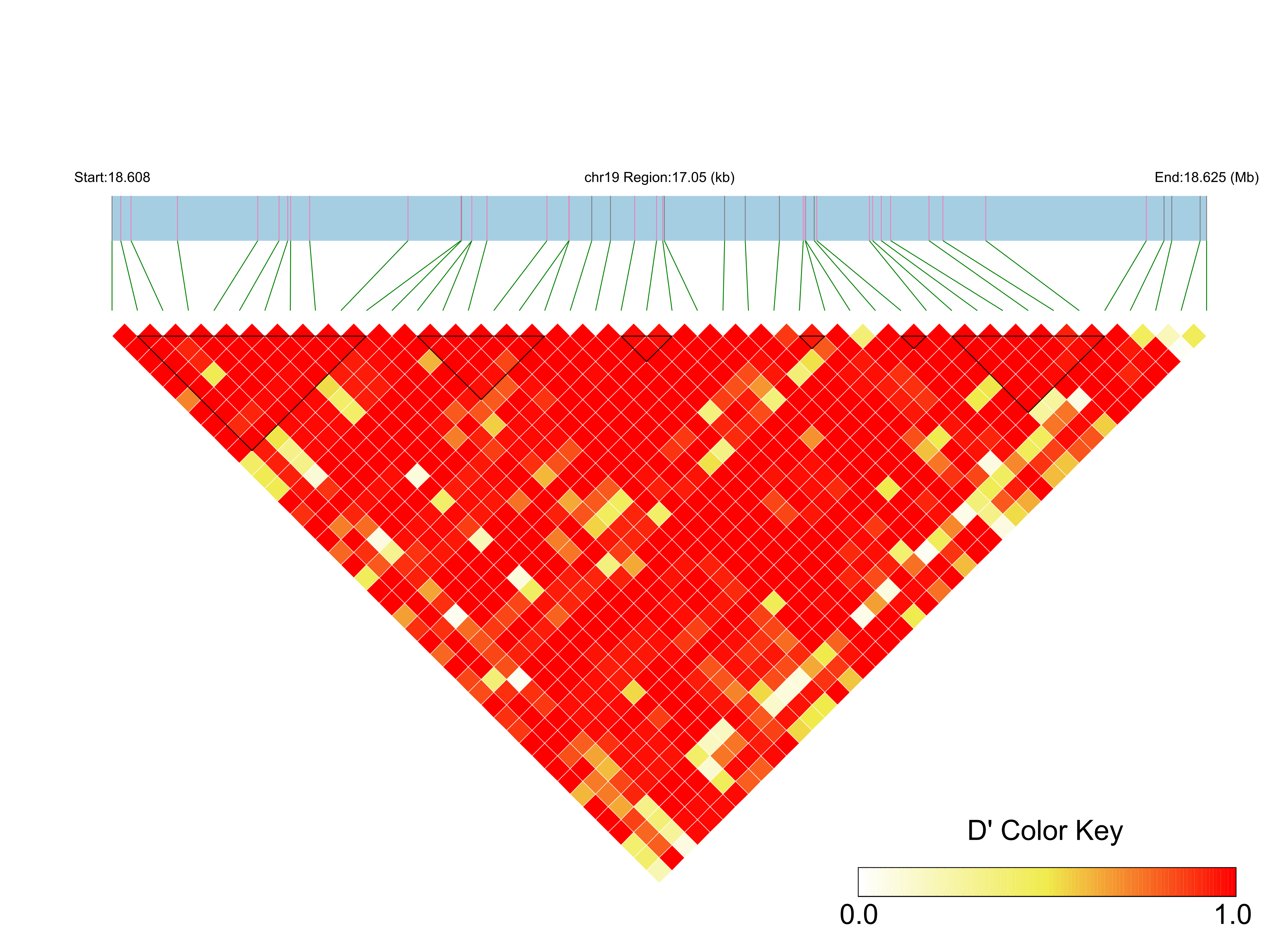 LD