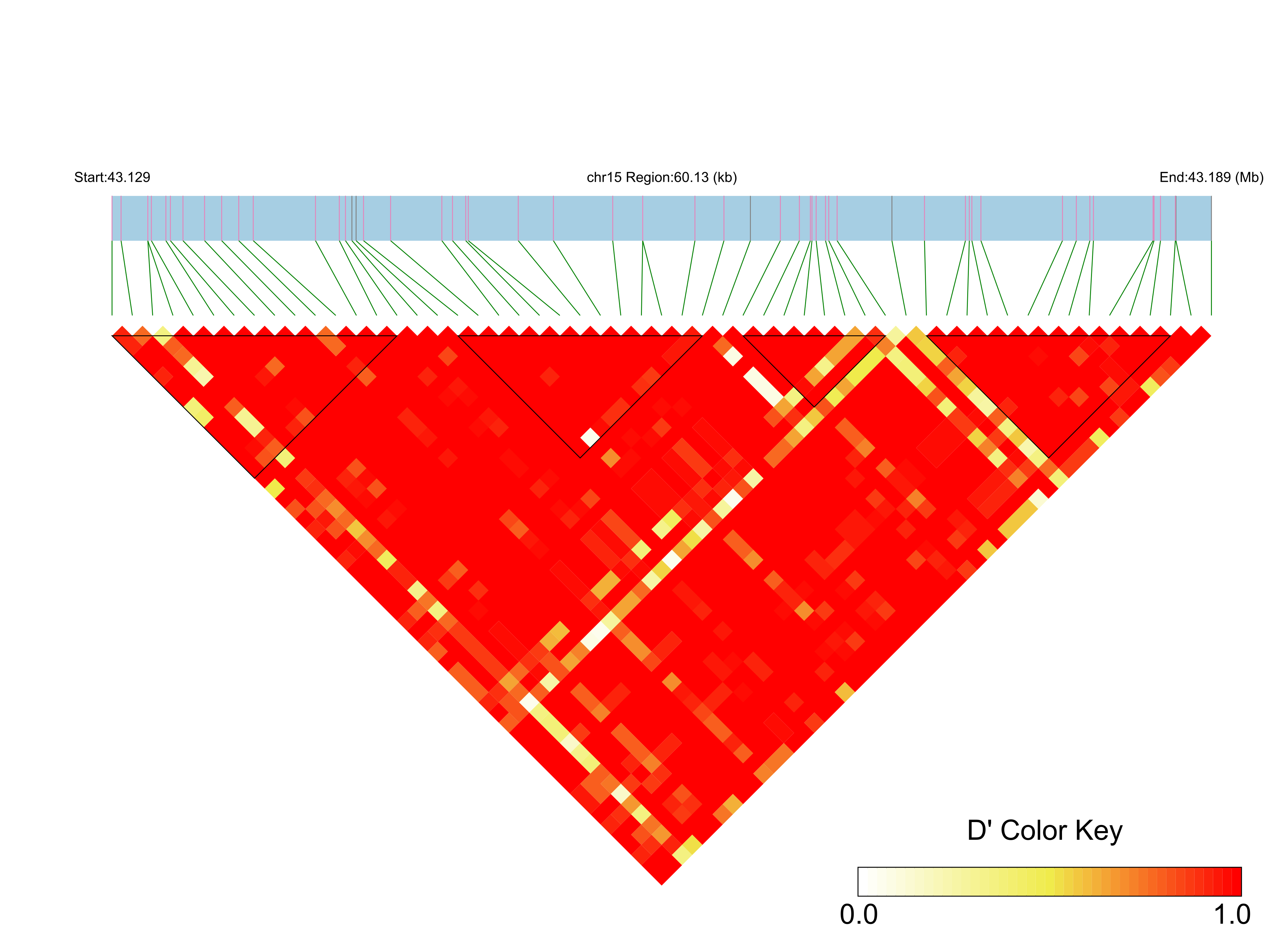 LD