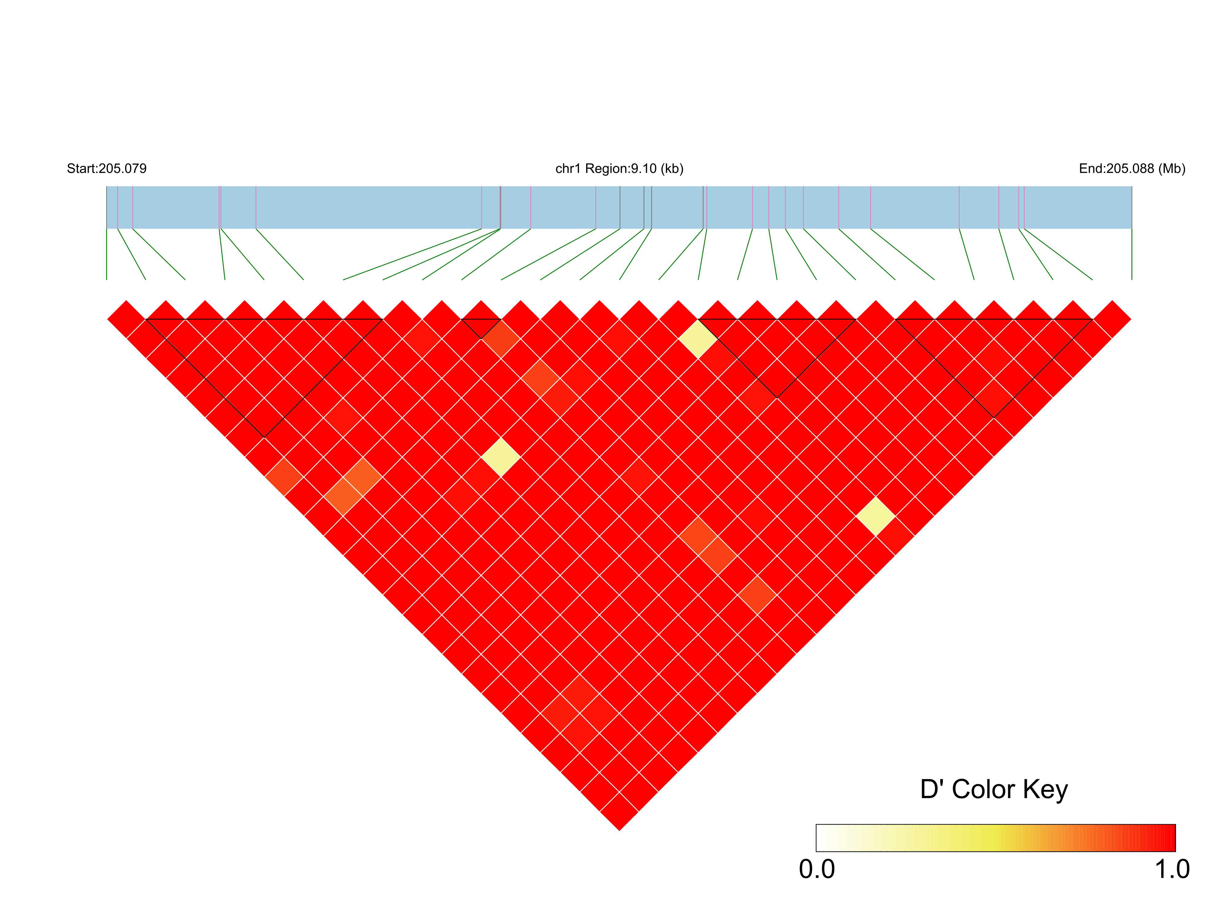LD