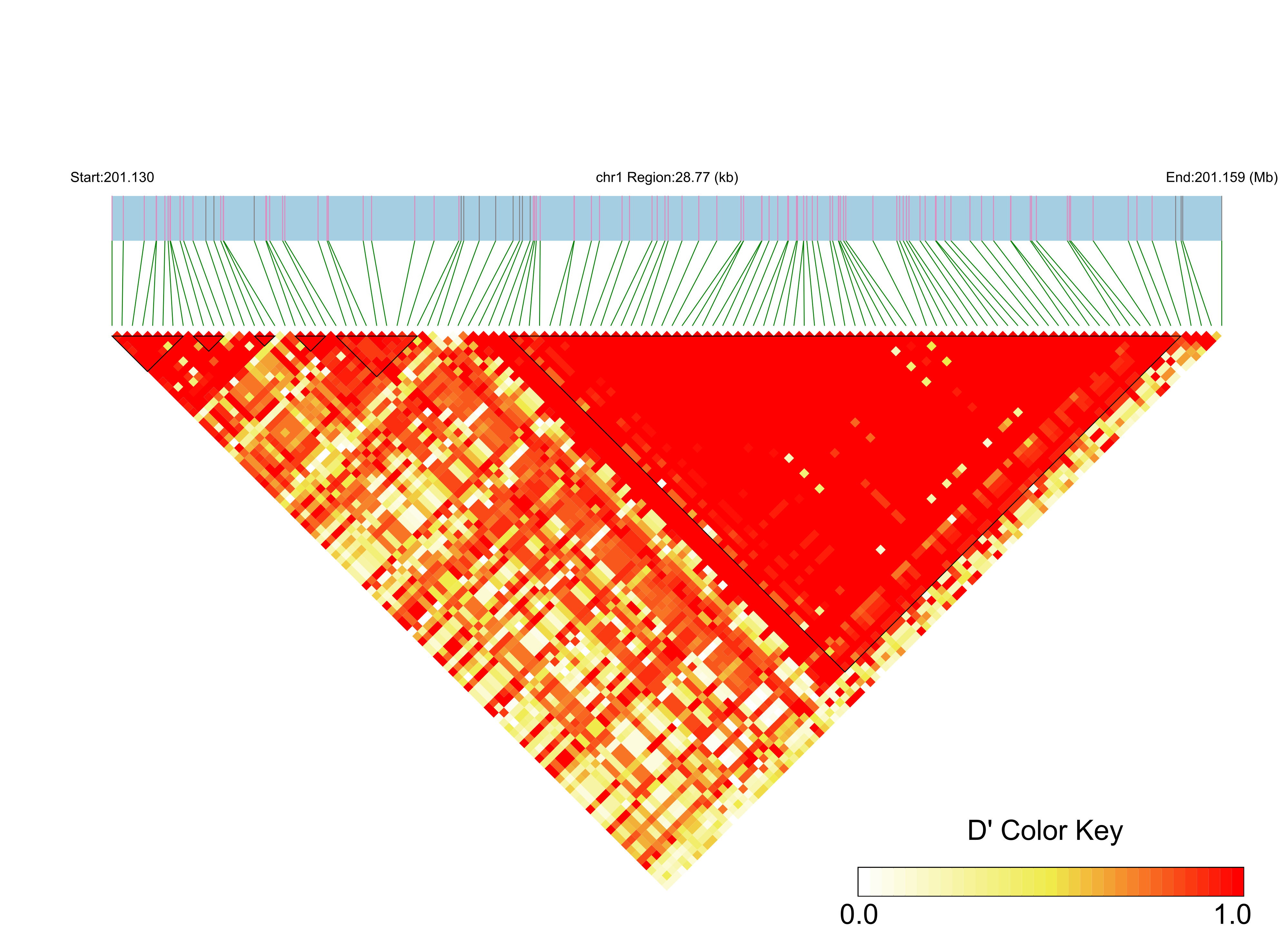 LD