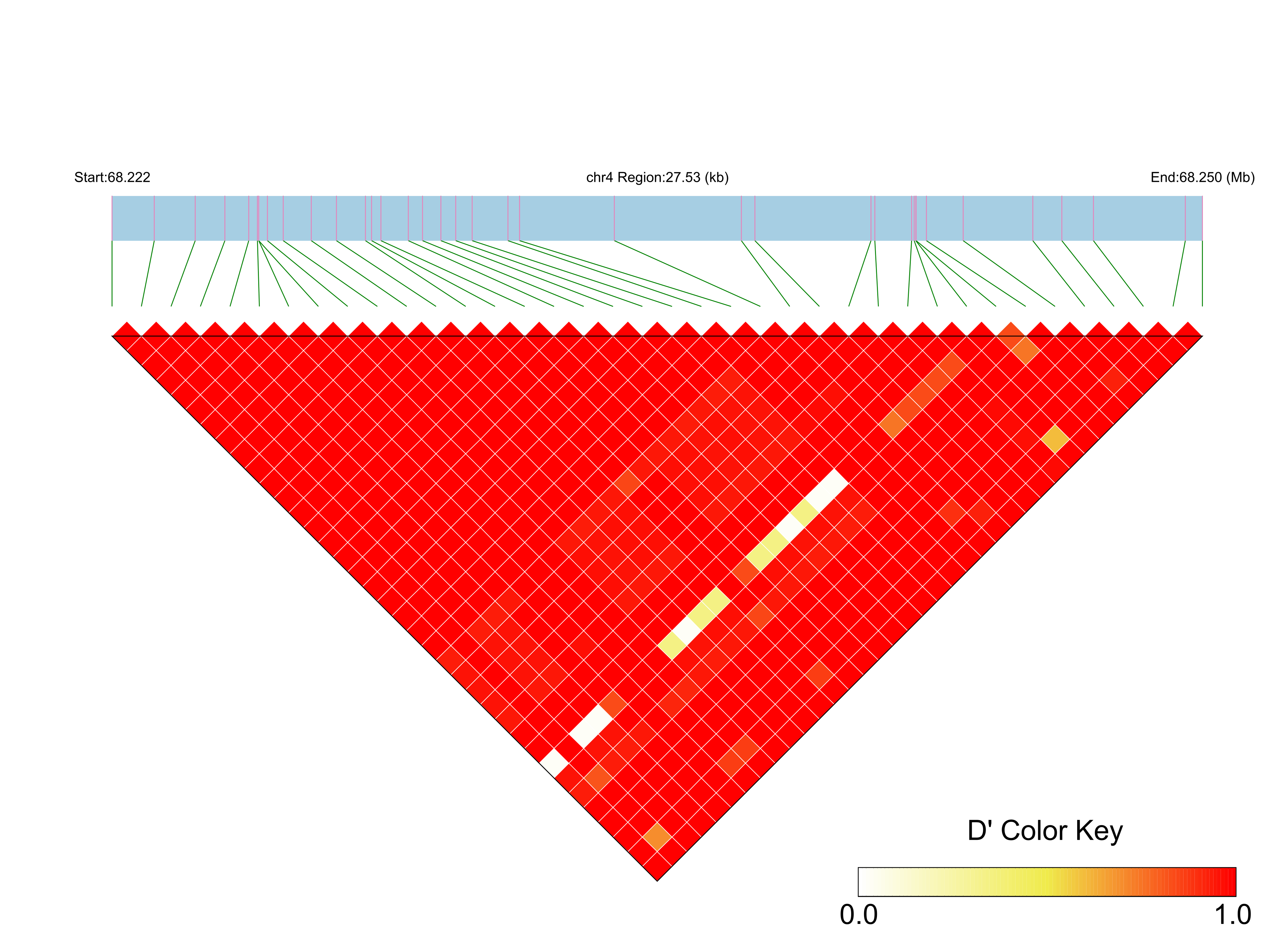 LD