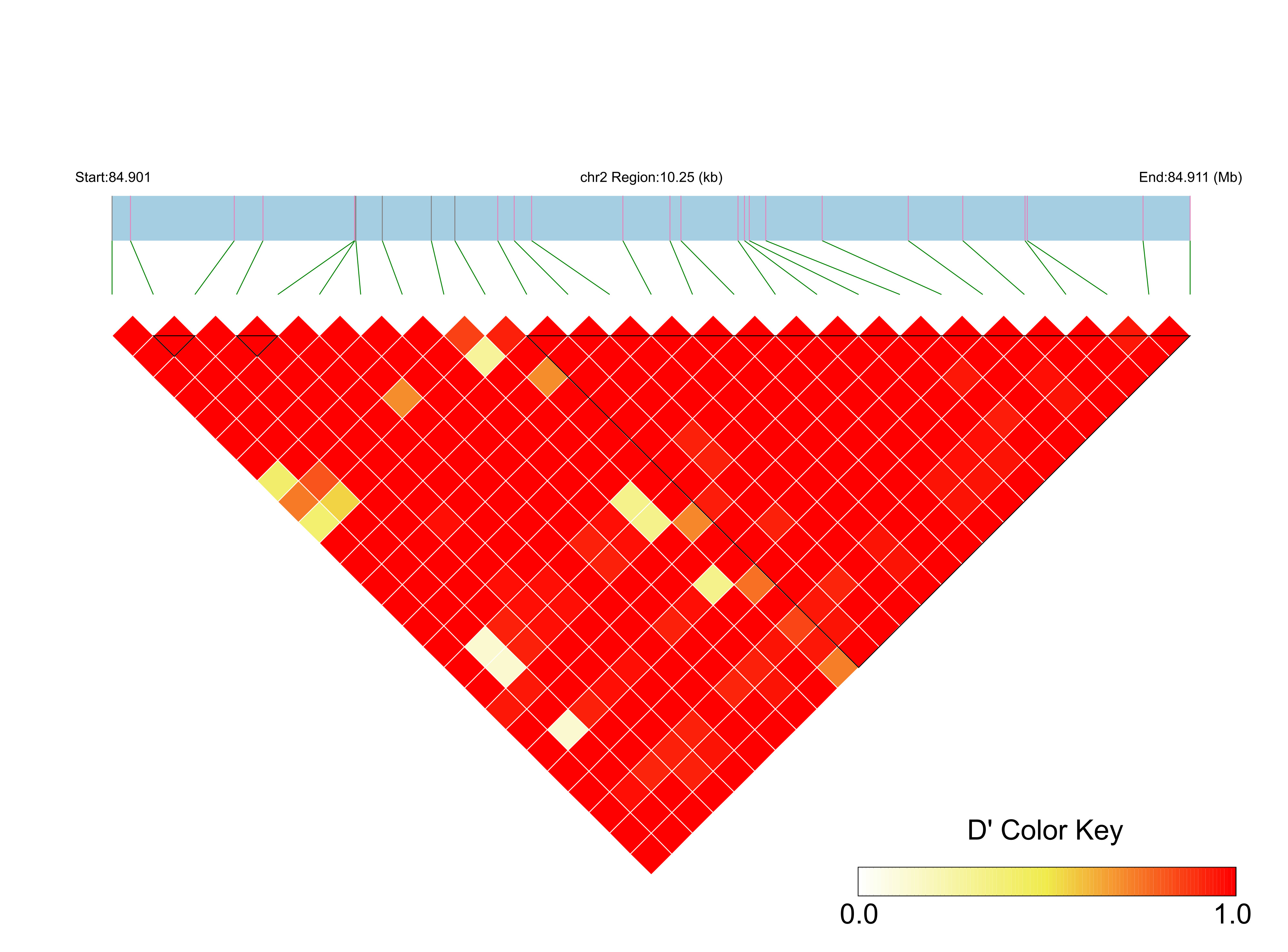 LD
